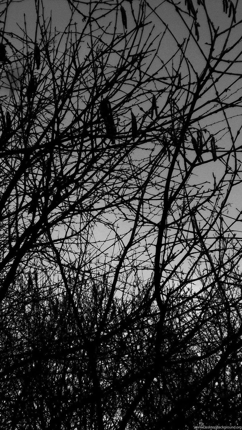 850x1511 Silence, Metal Nature: Heavy Metal,. Background, Heavy Metal iPhone HD phone wallpaper
