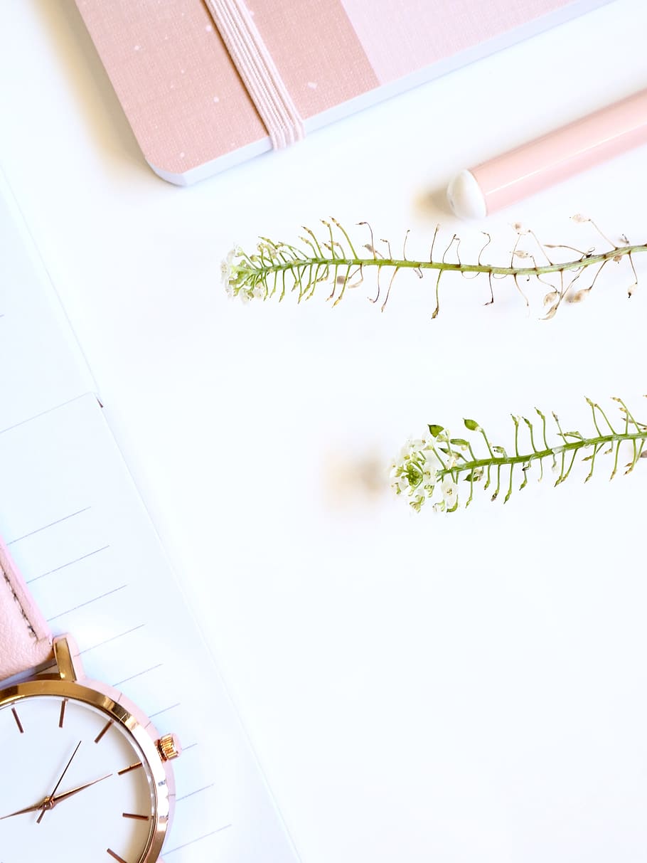 910x1213 write, white space, flatlay, business, feminine, pink, simple, minimal