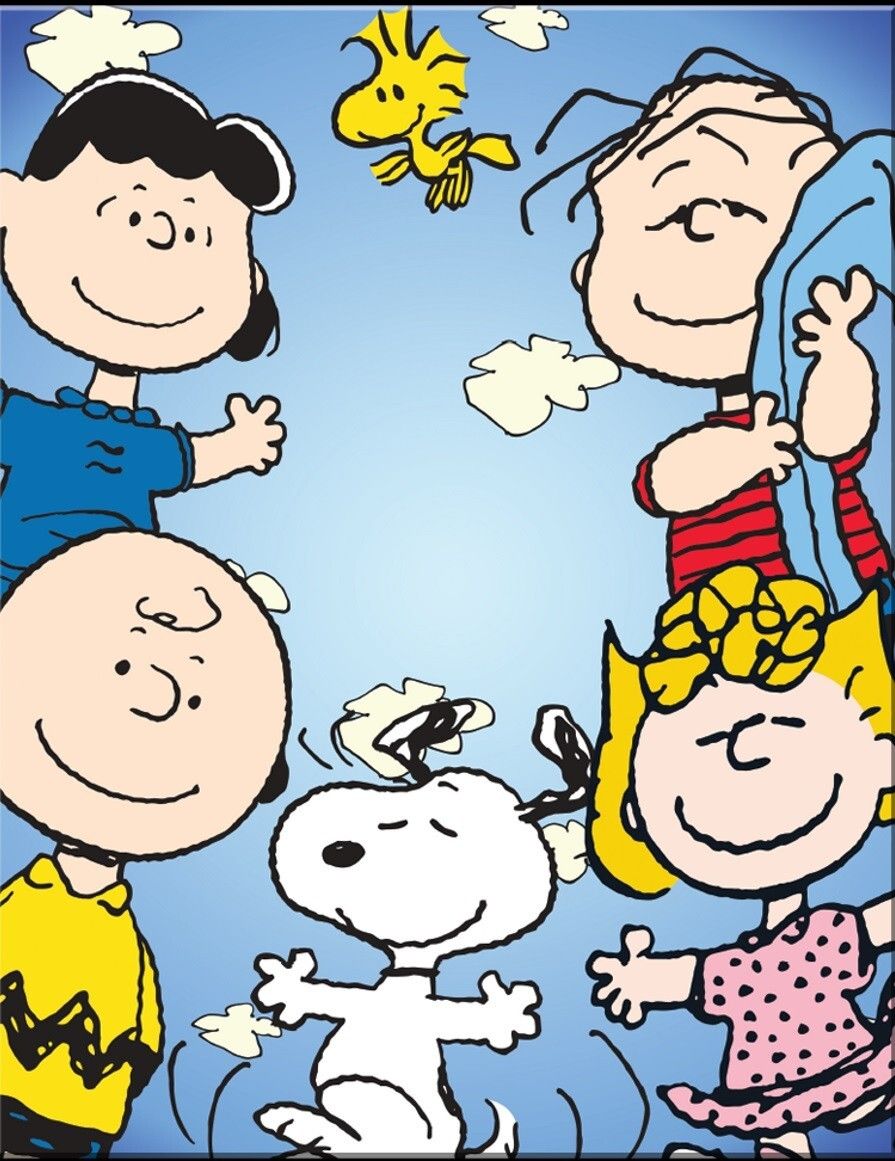 895x1161 Peanuts Snoopy Woodstock Group Cast Comic Strip Charlie Brown Decor Metal Sign