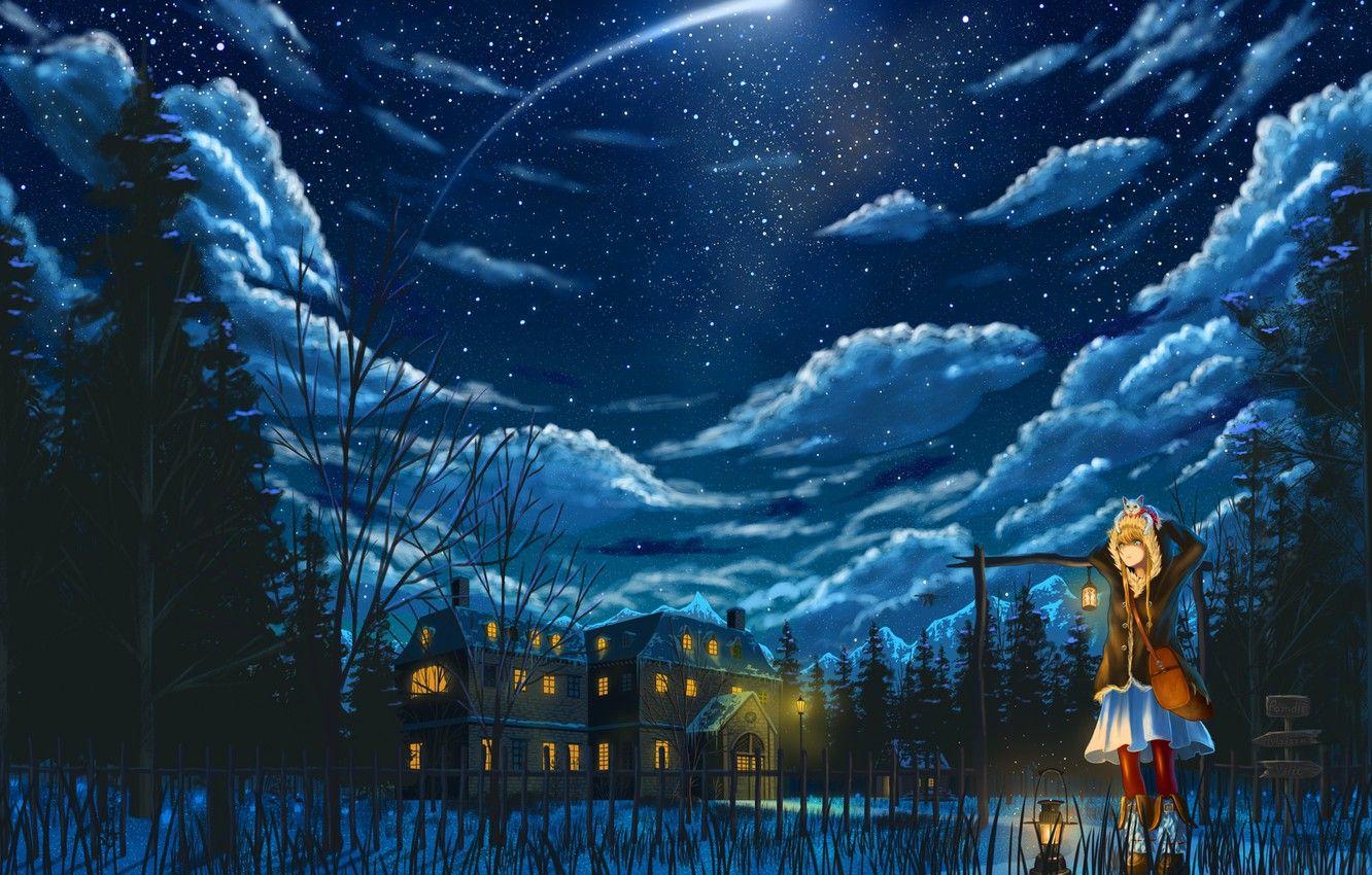 1332x850 Wallpaper winter, cat, girl, clouds, snow, snowflakes, night