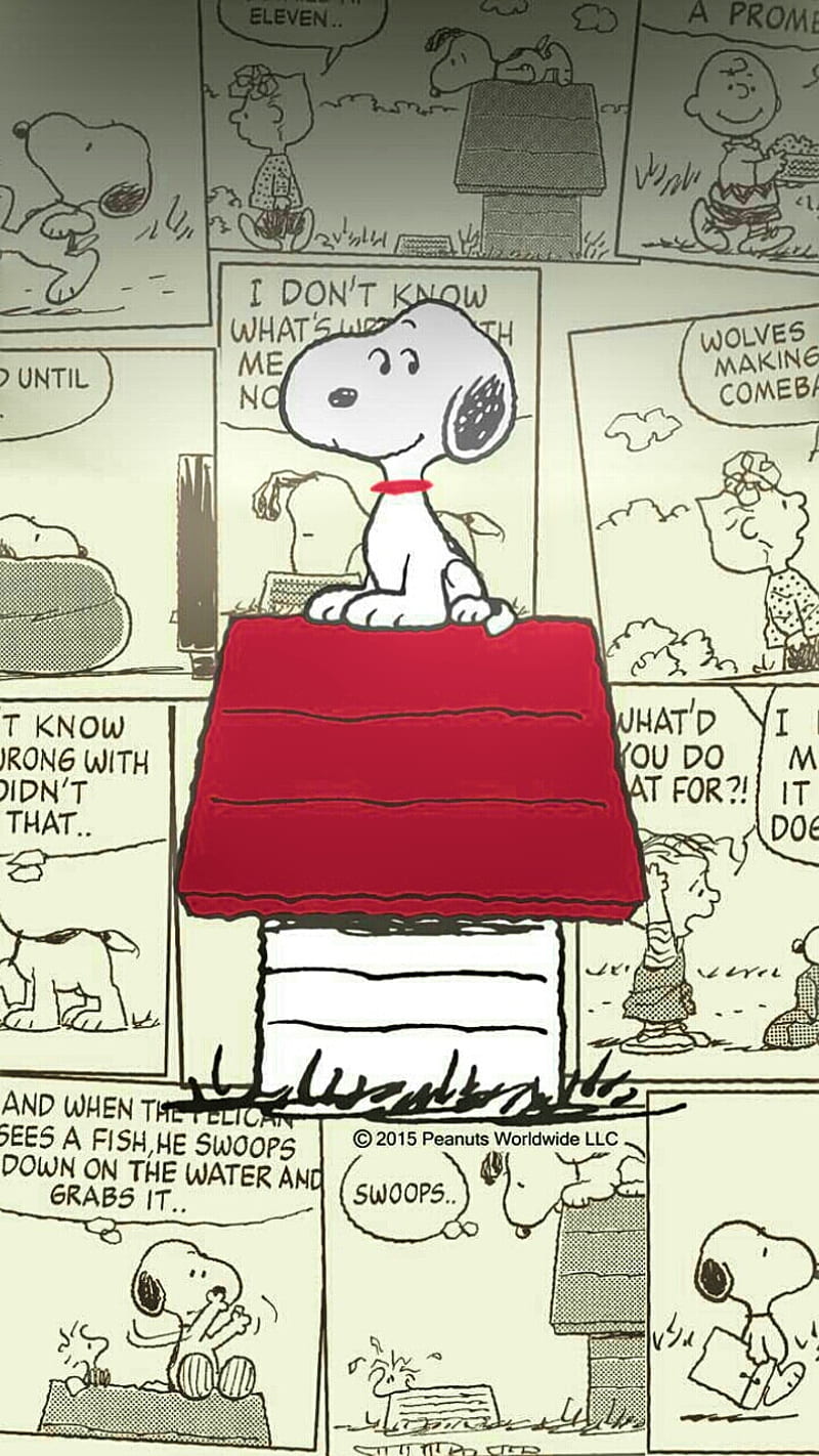 800x1422 Snoopy, cartoon, dog, HD phone wallpaper