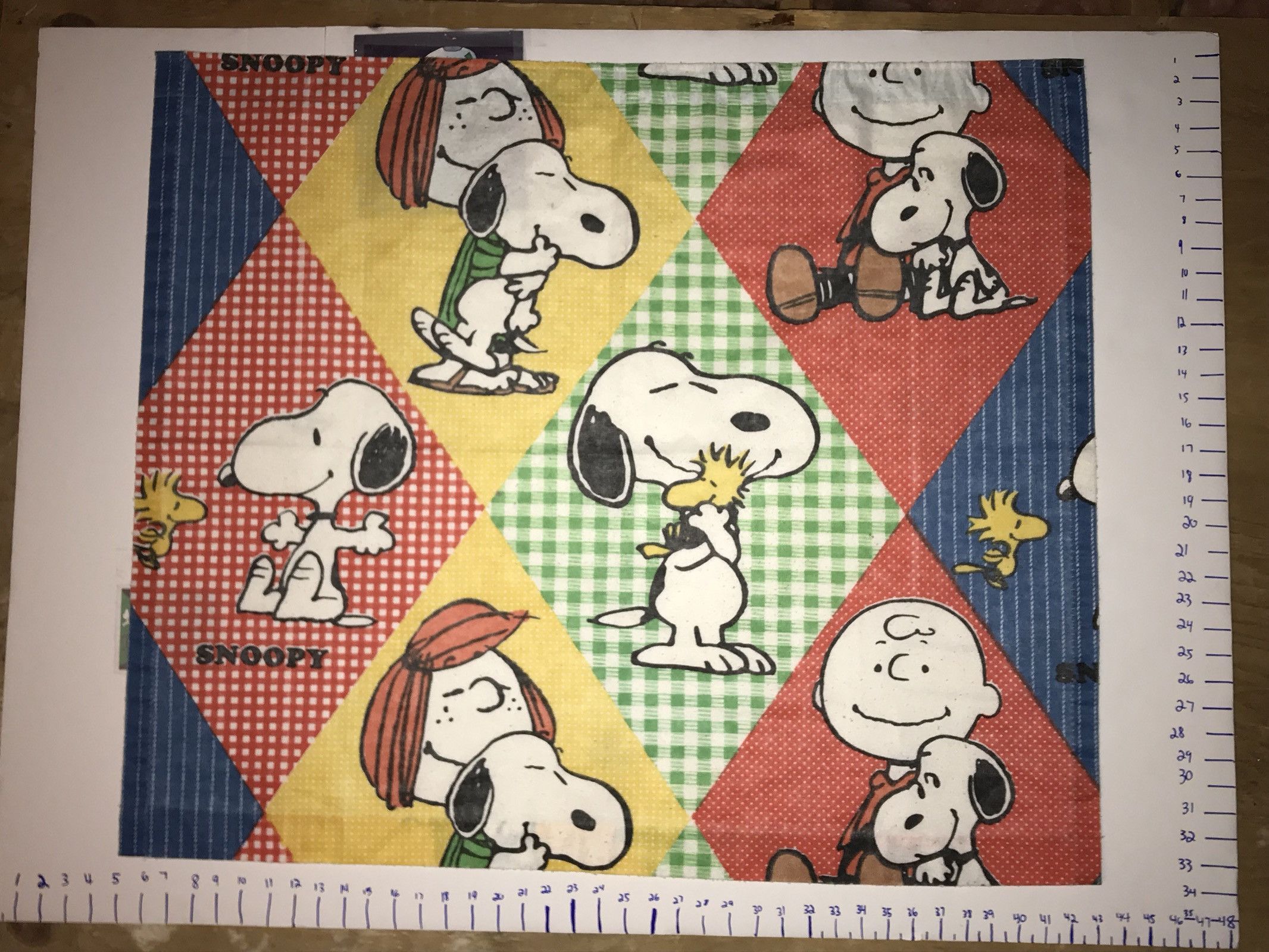 2132x1600 Peanuts × Vintage 90s Vintage SNOOPY Picnic Blanket Charlie Brown All Over Print Decoration Poster Wallpaper Tapestry