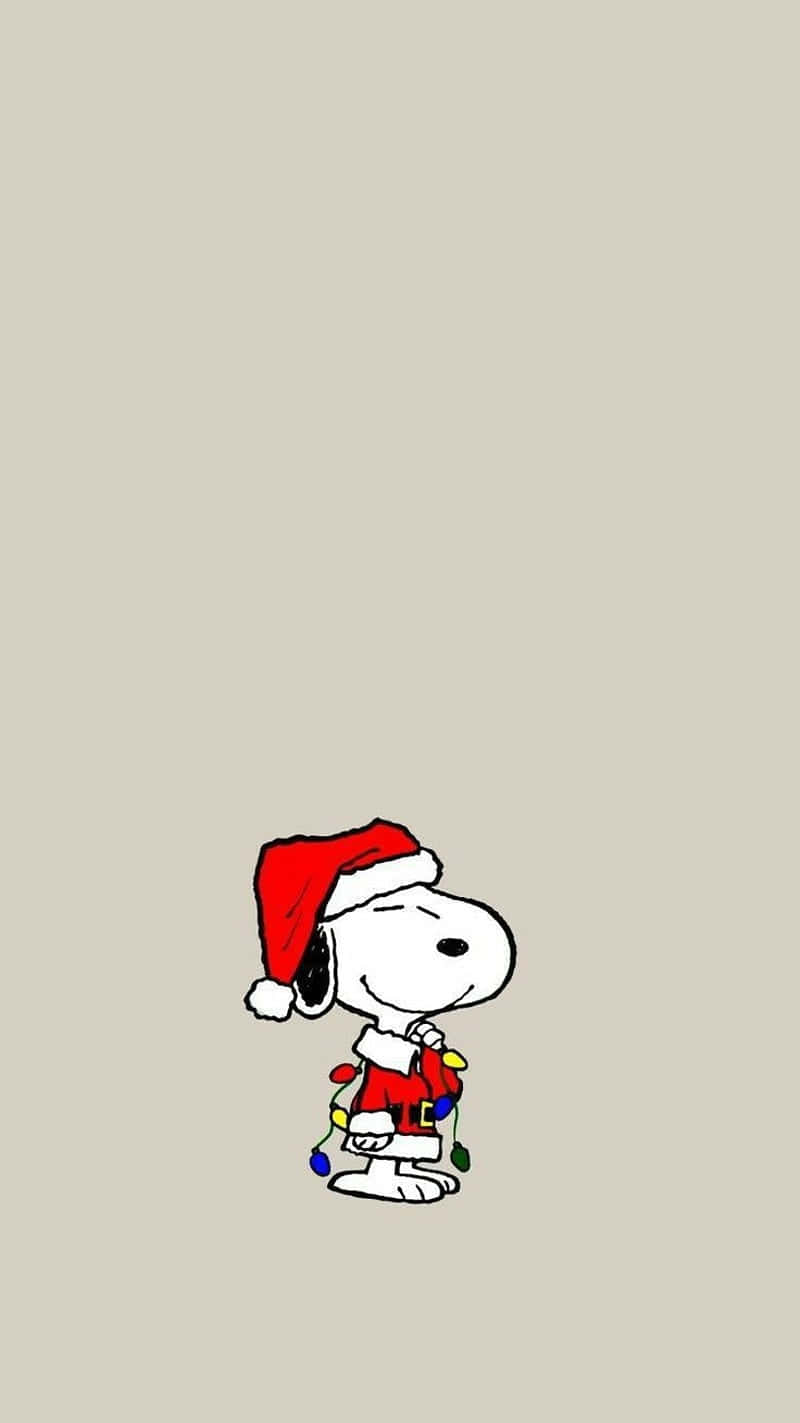 800x1423 Snoopy Christmas iPhone Wallpaper