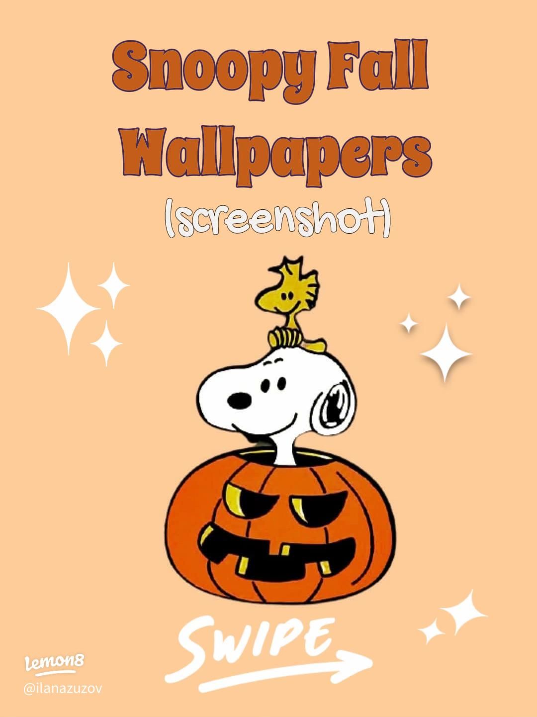 1080x1442 Adorable Snoopy Background for Your Phone real user experience on Lemon8
