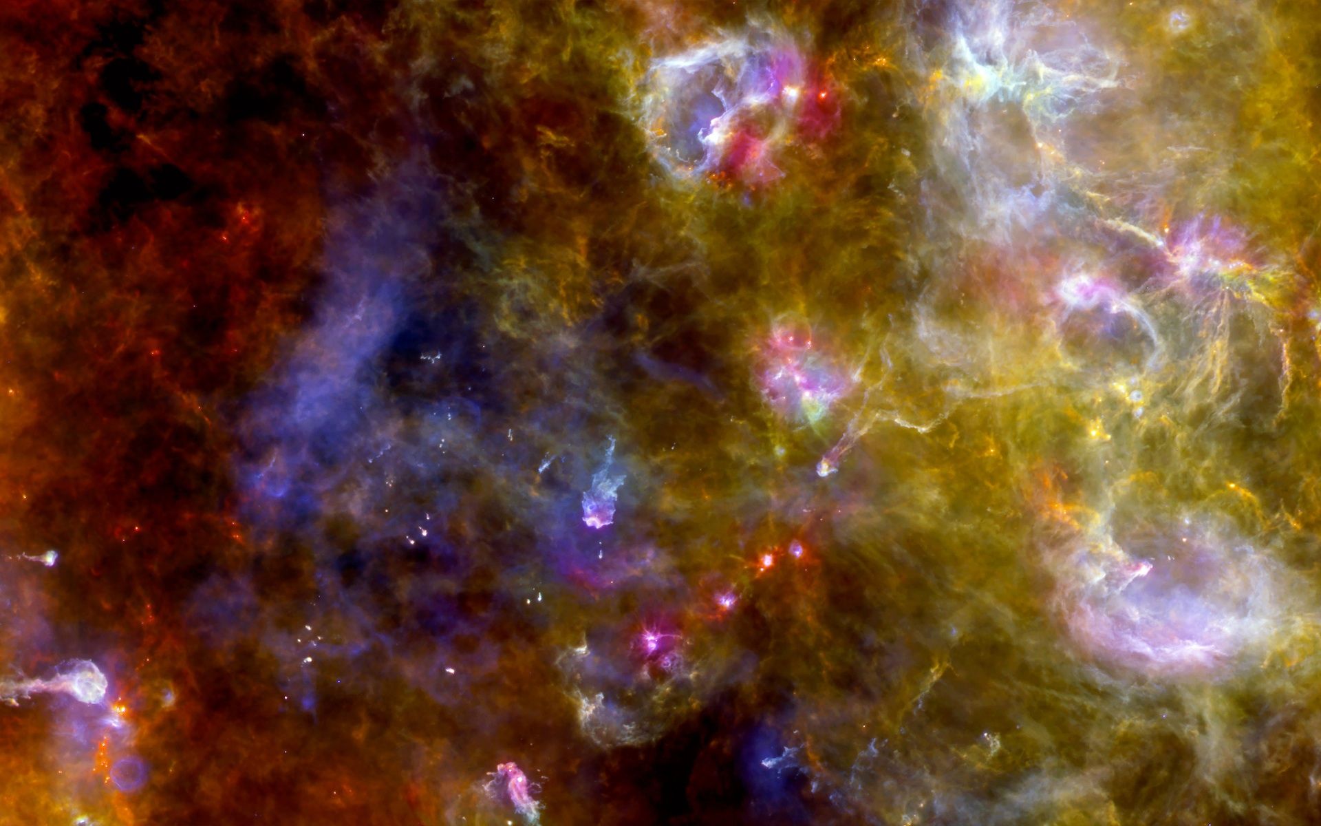 1920x1200 Swan Glowing in Flight Space Wallpaper
