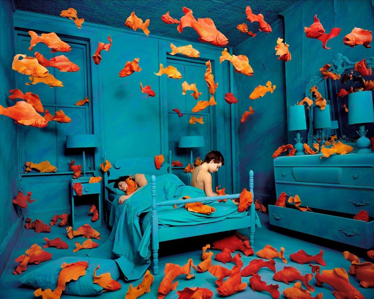 1280x1024 Free download Fish Room Photography Art Photo HD Desktop