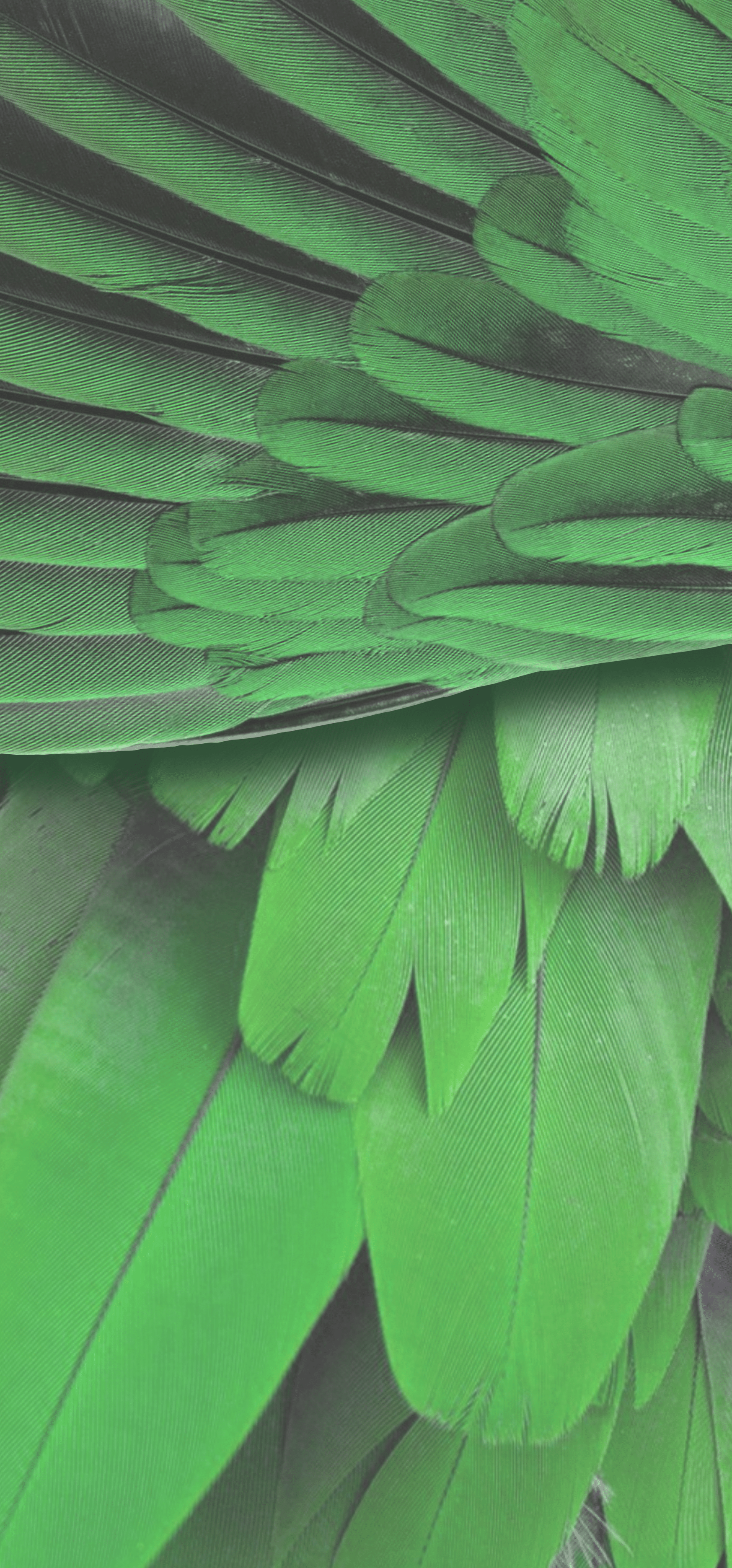 1747x3742 Google Pixel 7 Wallpaper