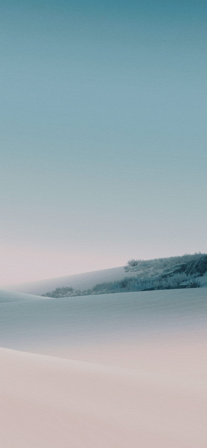 800x1731 Google Pixel 4A, HD phone wallpaper