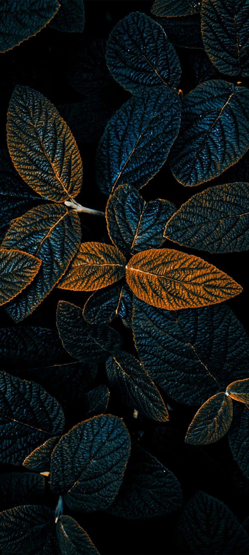 864x1920 Pixel 7 Wallpaper