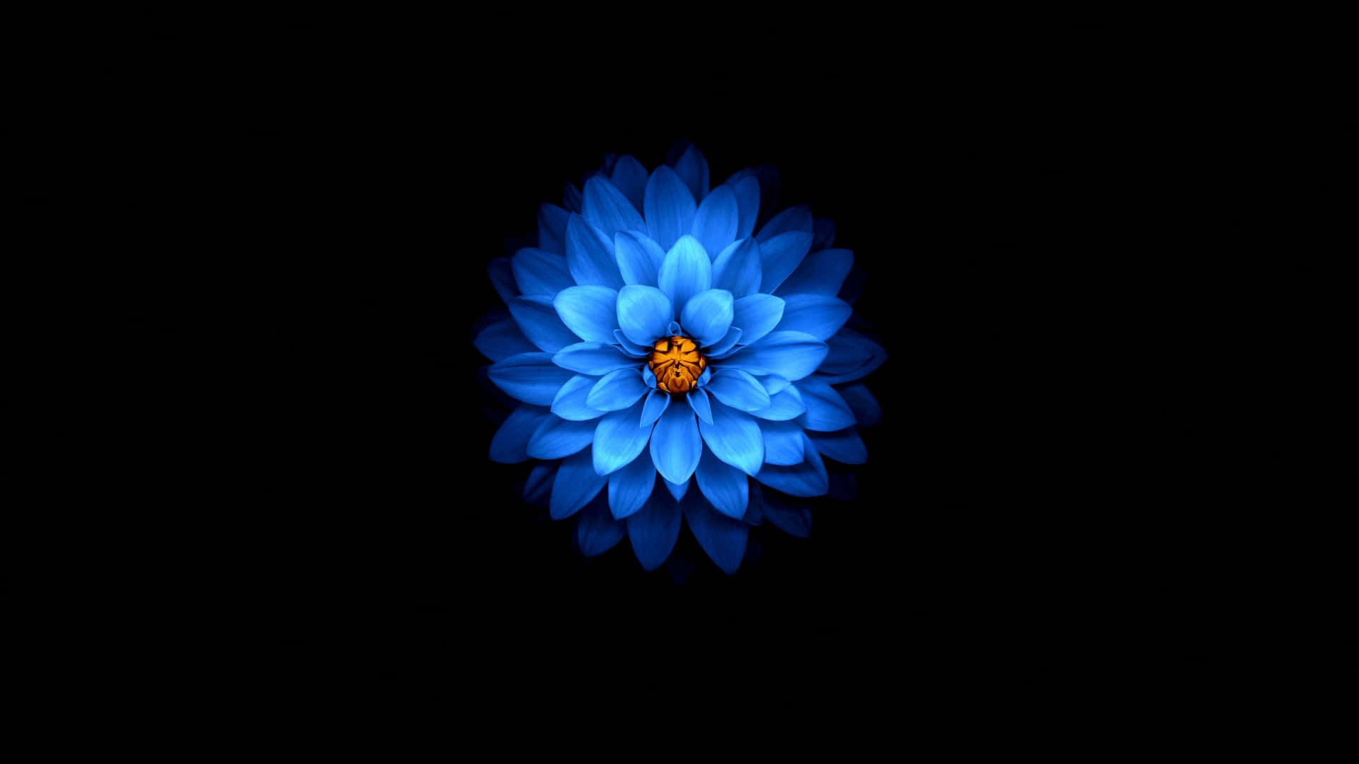 1920x1080 Amoled Wallpaper