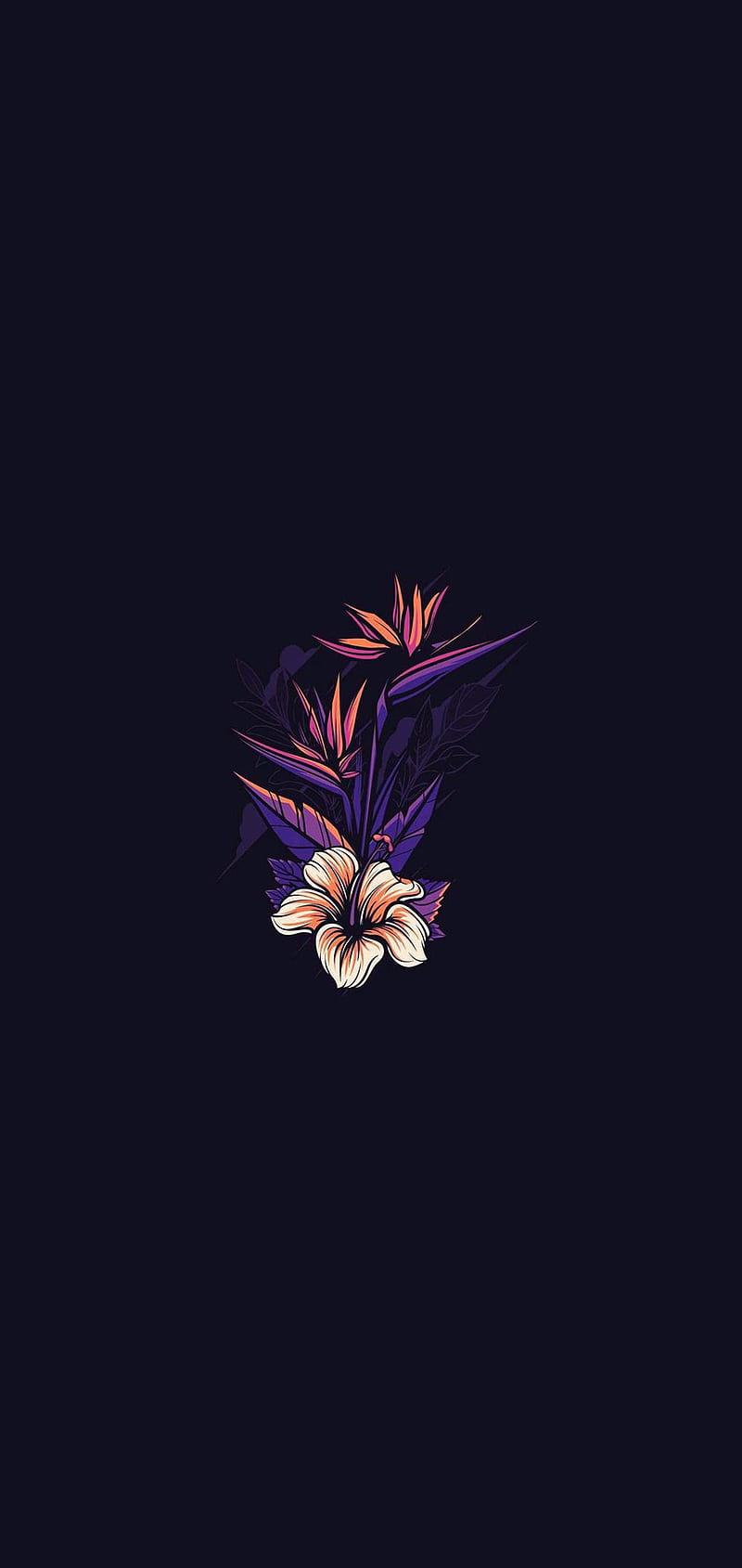 800x1689 Amoled, floral, purple, super amoled, HD phone wallpaper