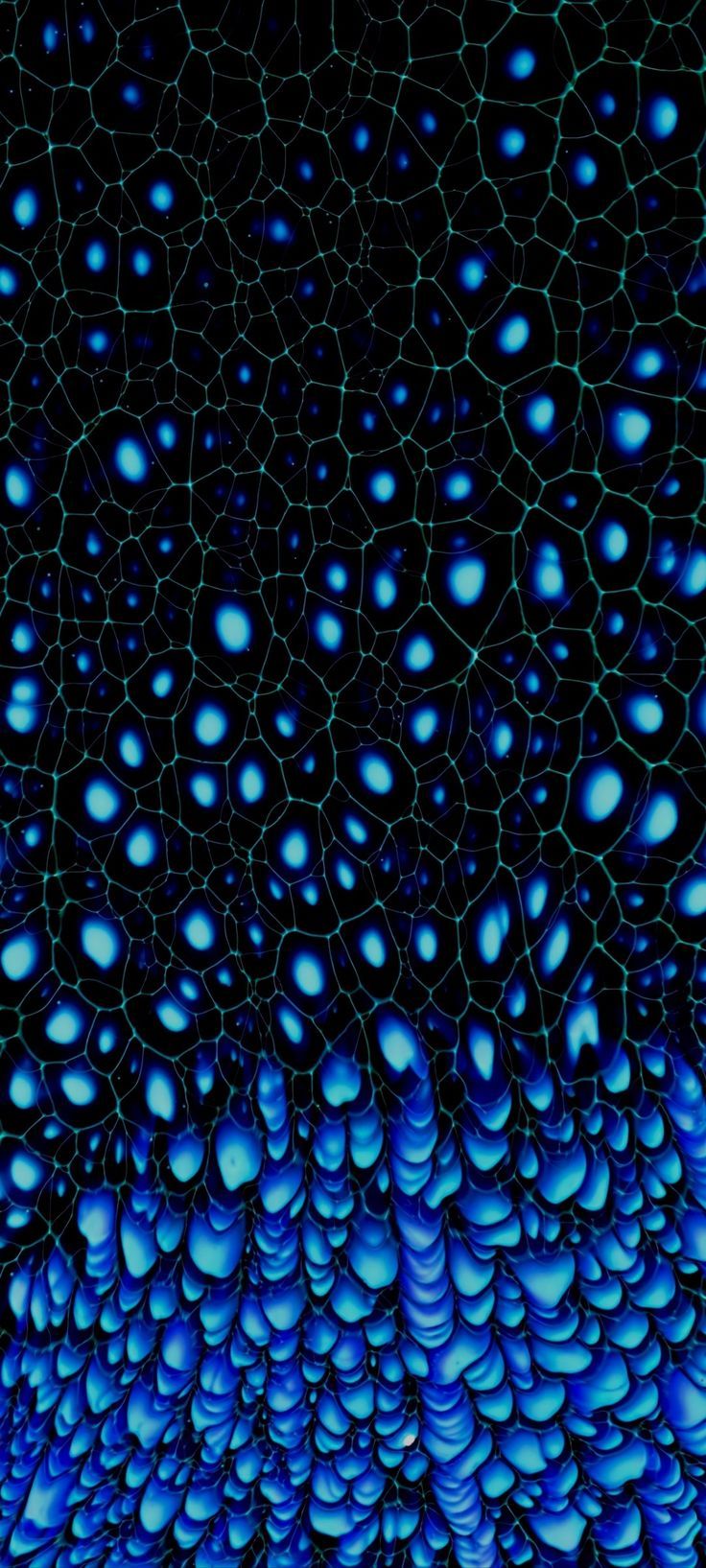 736x1635 SAMSUNG + XIAOMI + IPHONE. 4K WALLPAPER Amoled display