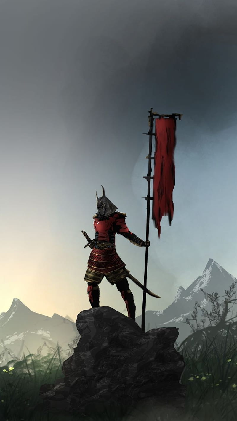 800x1422 Samurai, china, japan, knight, korea, ninja, viking, vikings, warrior, warriors, HD phone wallpaper