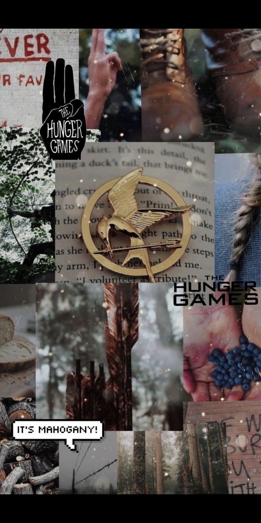 850x1700 Hunger games, berry, collage HD phone wallpaper