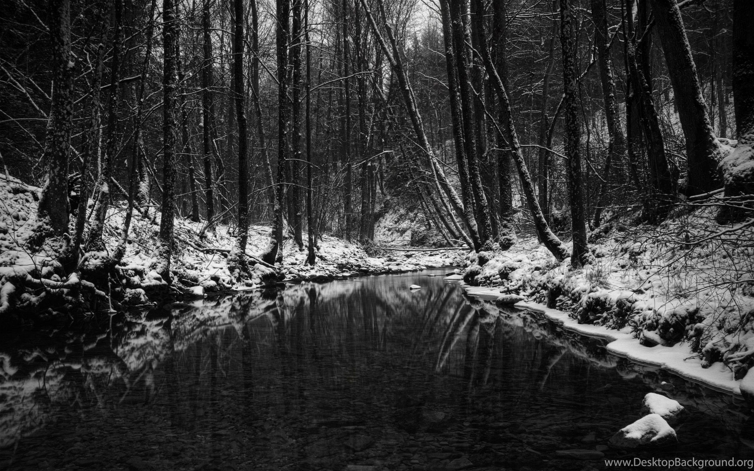 2560x1600 Best Black And White Wallpaper For Walls Toptenpack.com Desktop