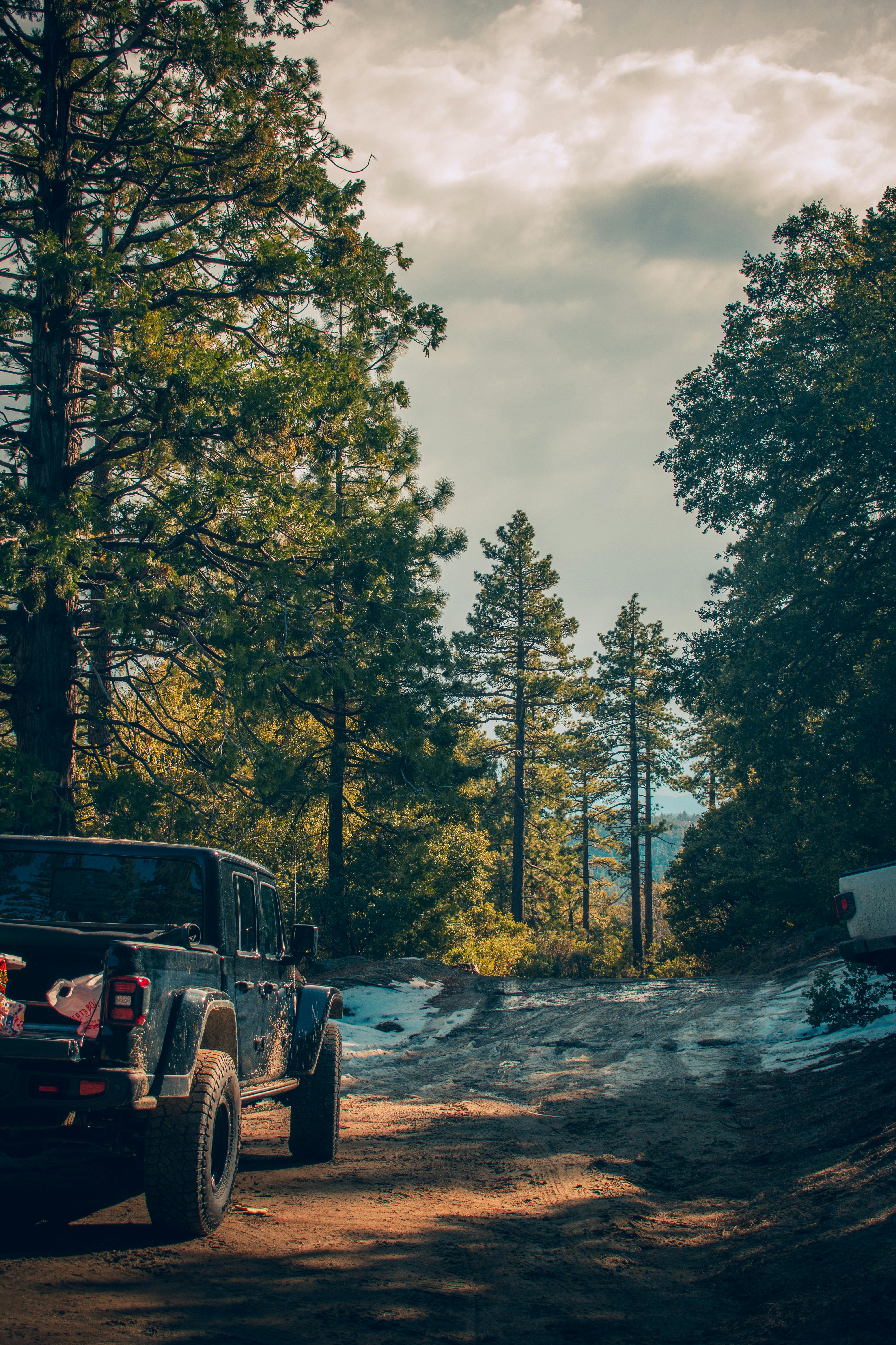 4000x6000 Truck in in Forest · Free