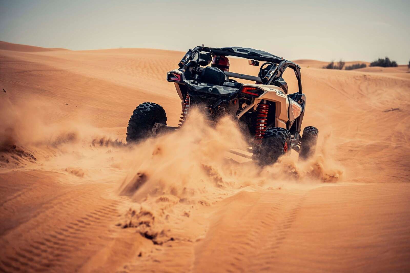 1600x1067 Wallpaper Mural adrenaline in the dunes