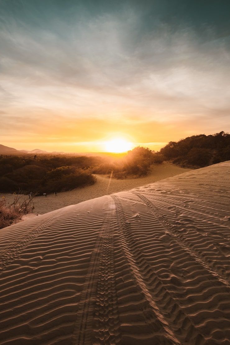 740x1110 Desert racing Image