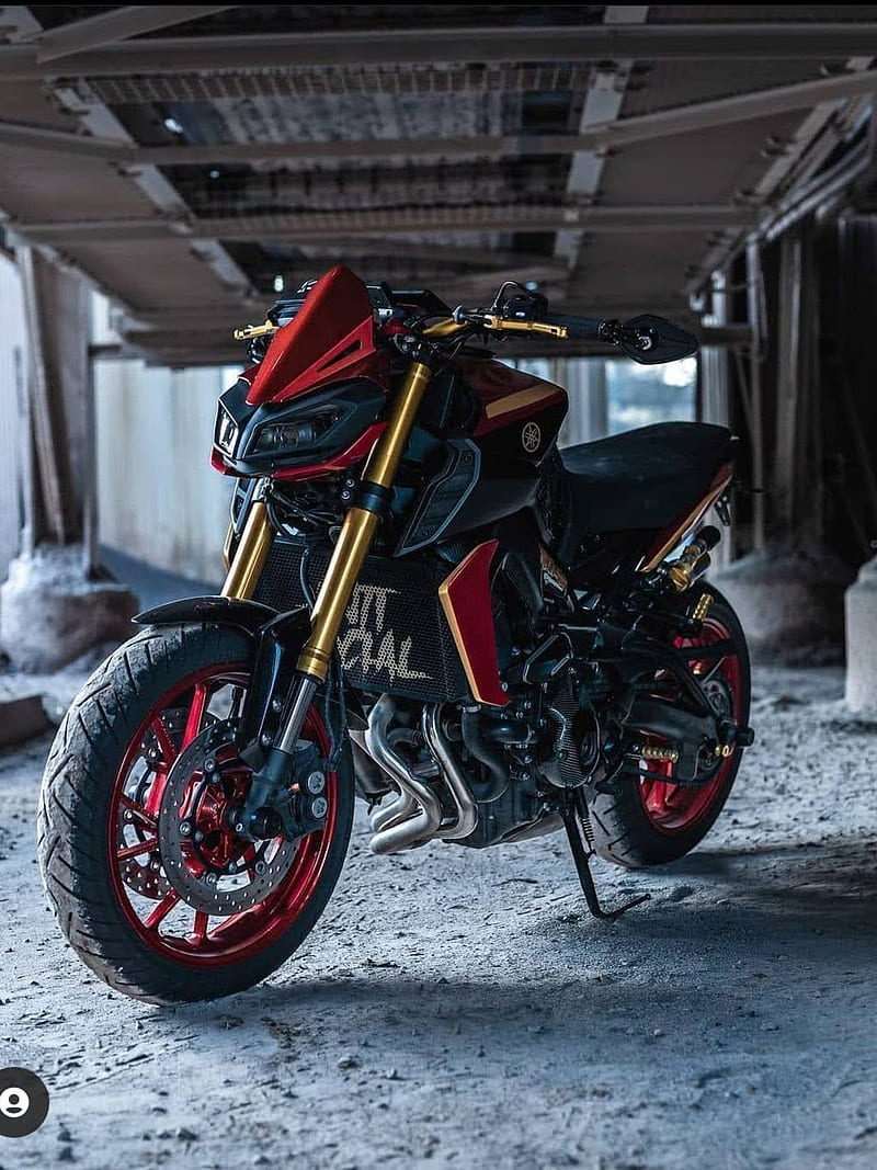 800x1067 MT emblems, motorcycle, HD phone wallpaper