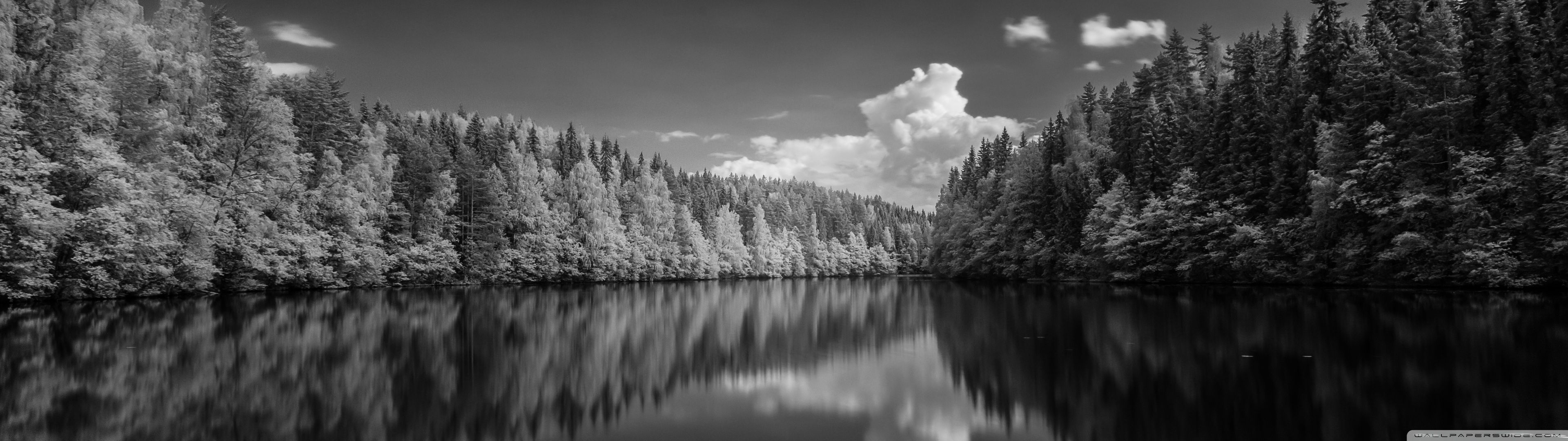 3840x1080 Finland Forest Lake Black and White 4K UHD Wallpaper for UltraHD Desktop and TV : Widescreen and UltraWide Display : Dual Monitor : Smartphone and Tablet Devices