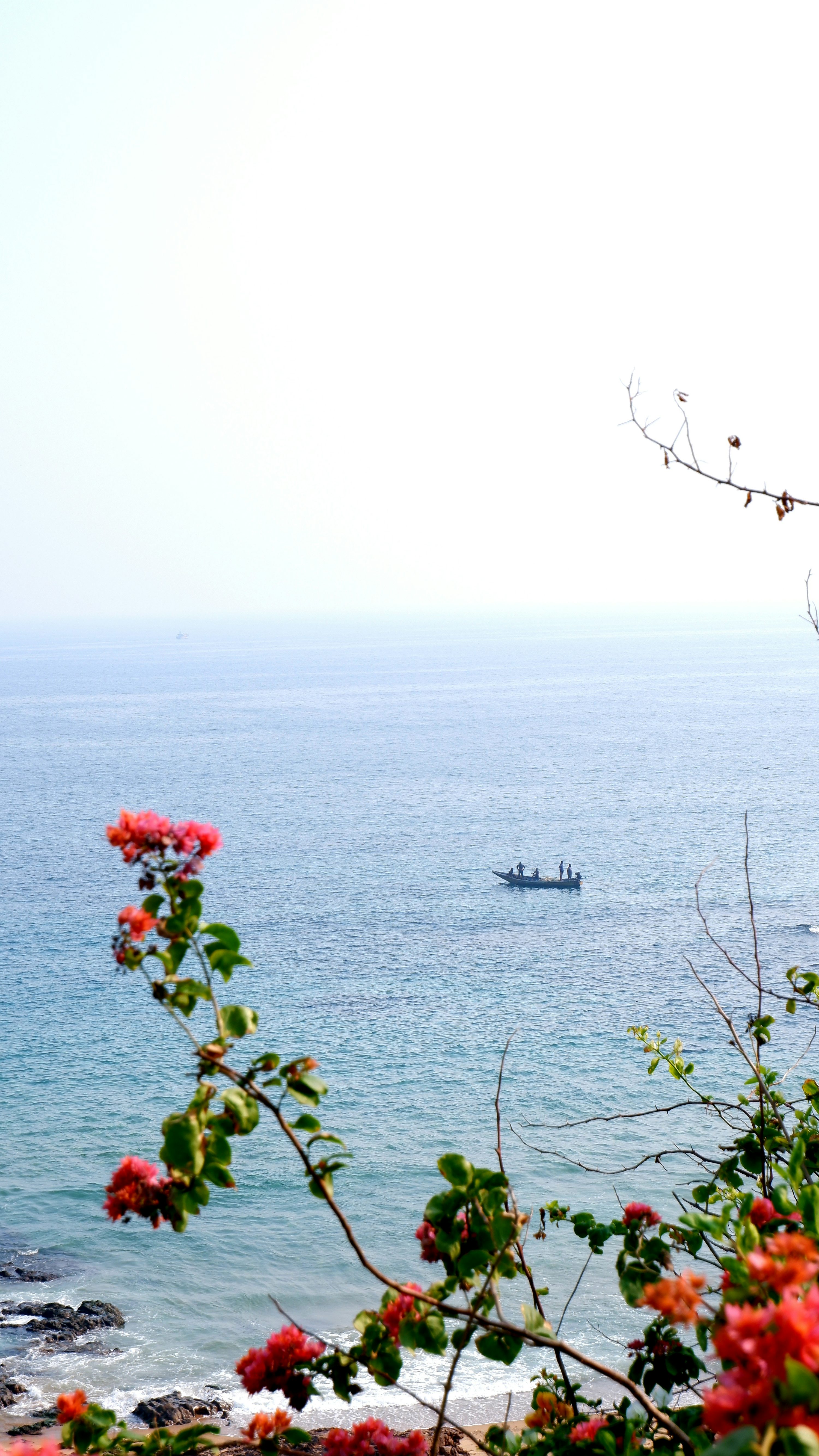 3000x5332 Ocean view with flowers in the foreground. photo