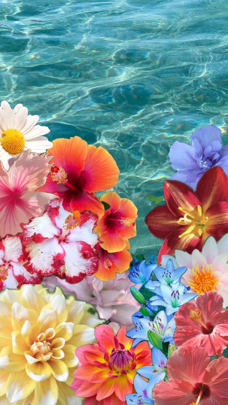 736x1308 Background. Flower wallpaper, Cute summer wallpaper, Wallpaper iphone summer