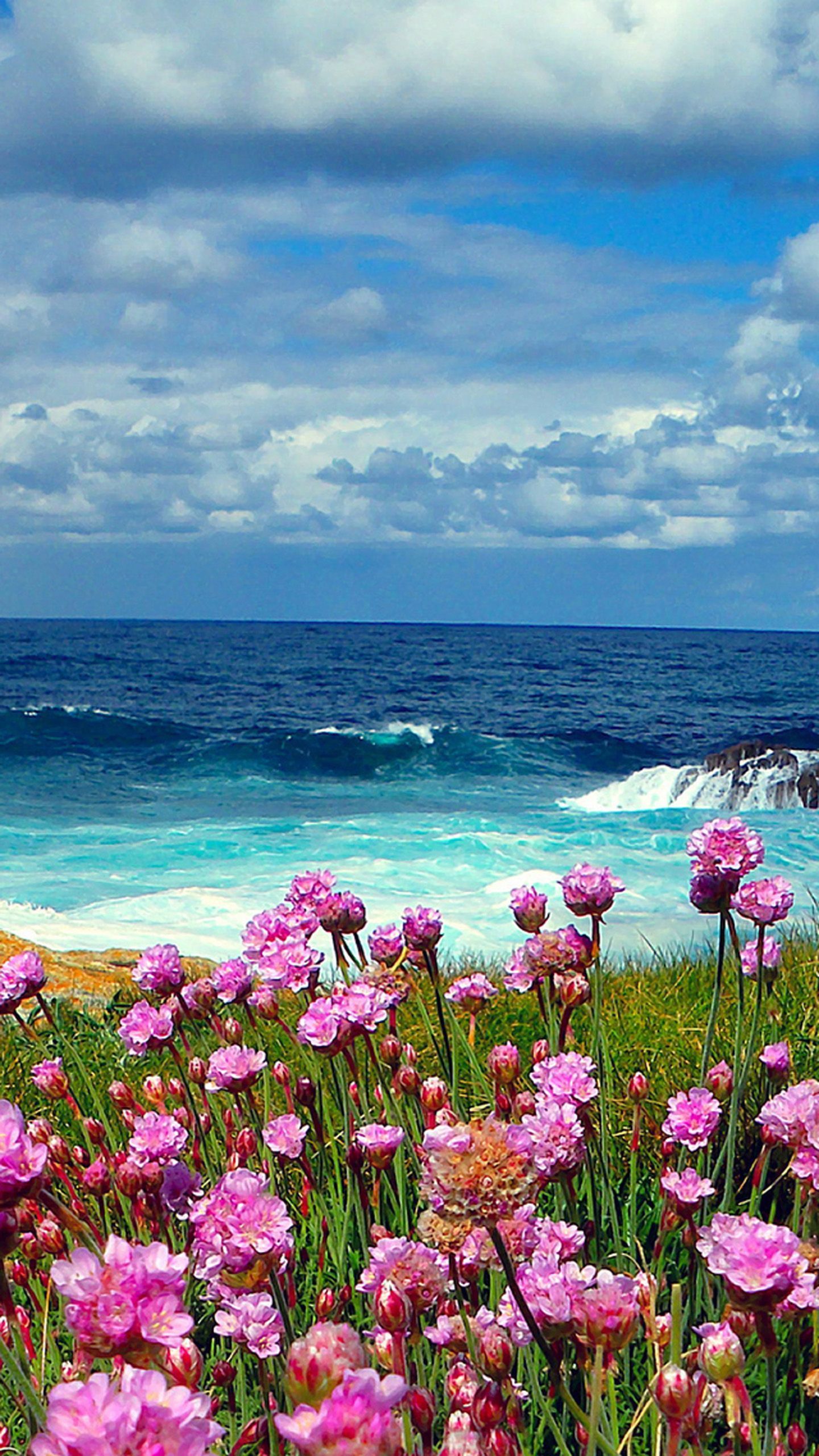 1440x2560 Flowers At The Ocean Wallpaper