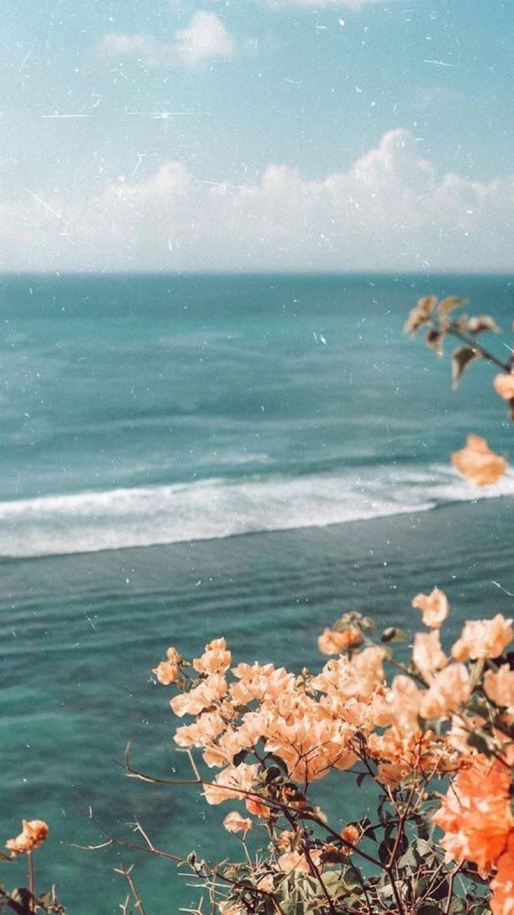 736x1309 ocean views