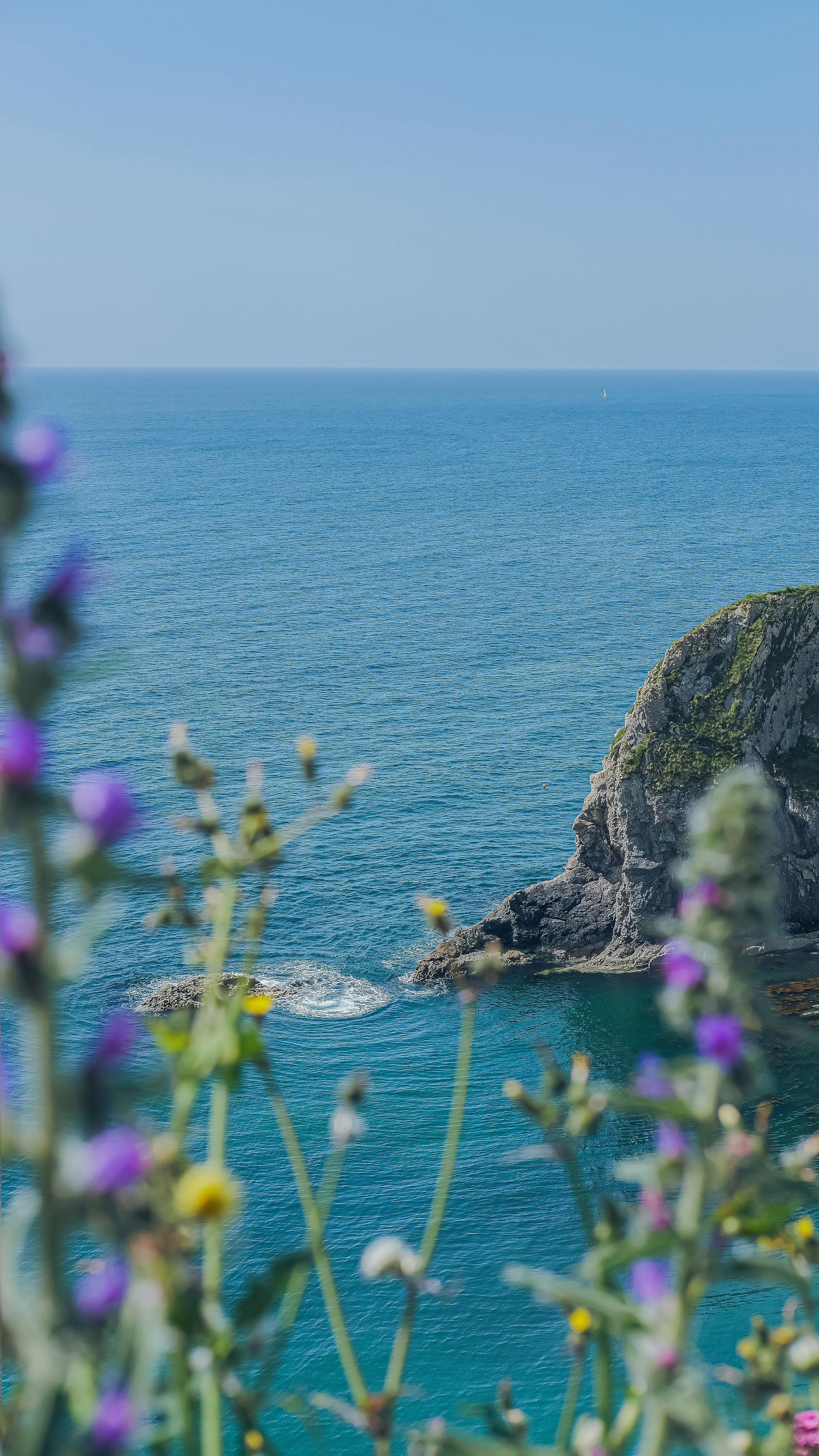 3376x6000 Flowers And Ocean Wallpaper