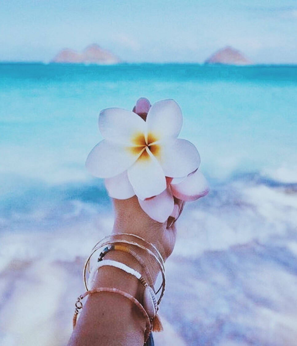 967x1128 Download Aesthetic Beach White Flower Wallpaper