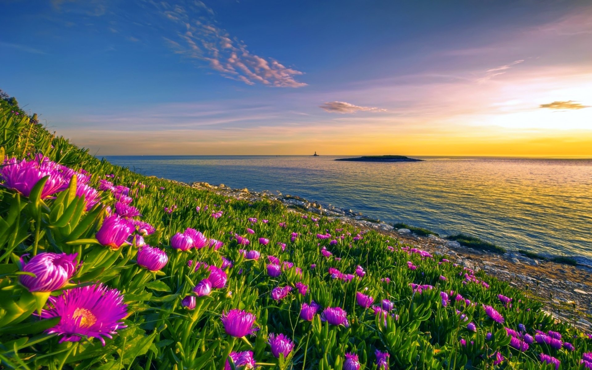 1920x1200 Serene Ocean Horizon: HD Wallpaper of Pink Flowers