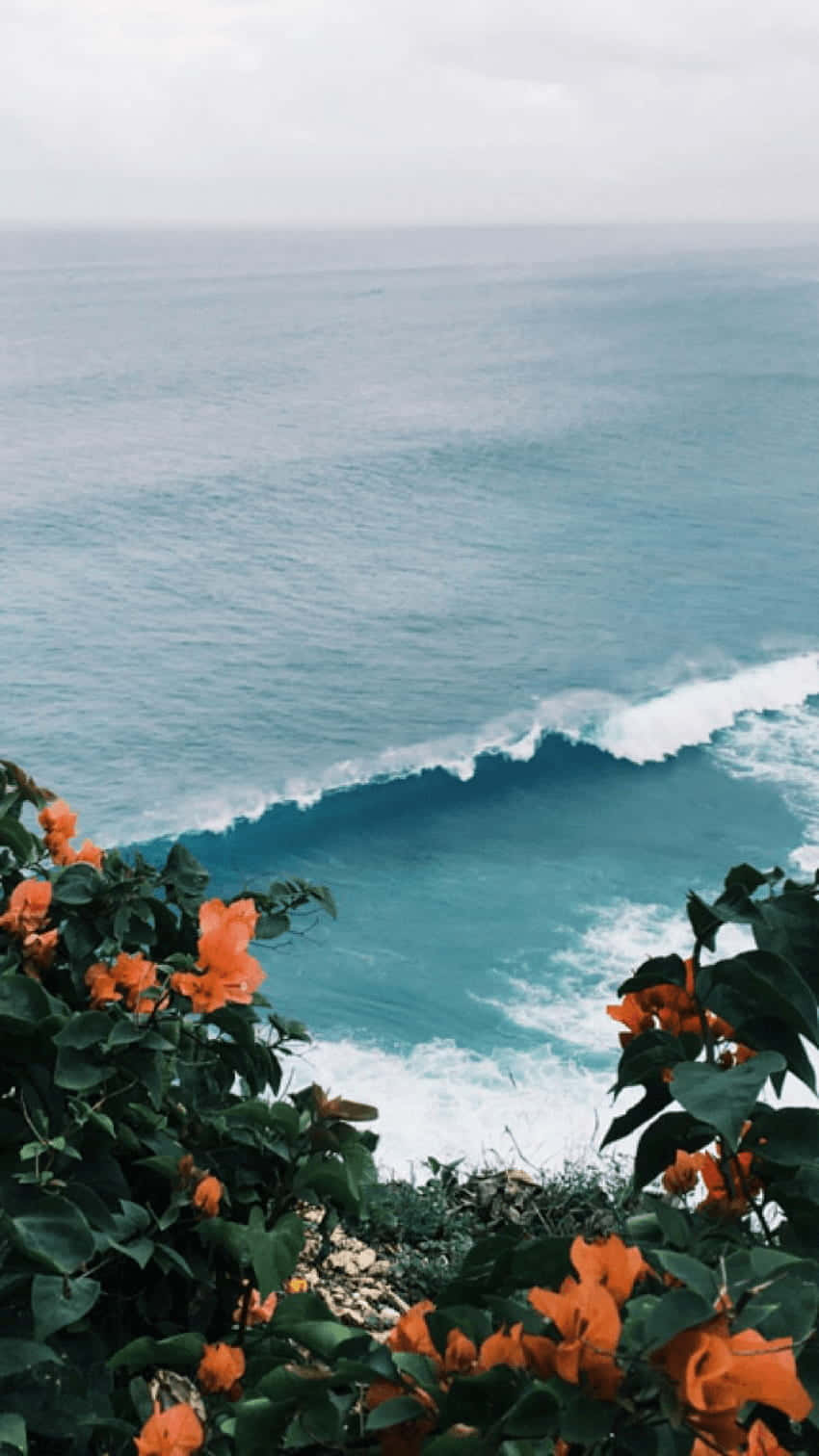 850x1512 Download A View Of The Ocean With Orange Flowers Wallpaper