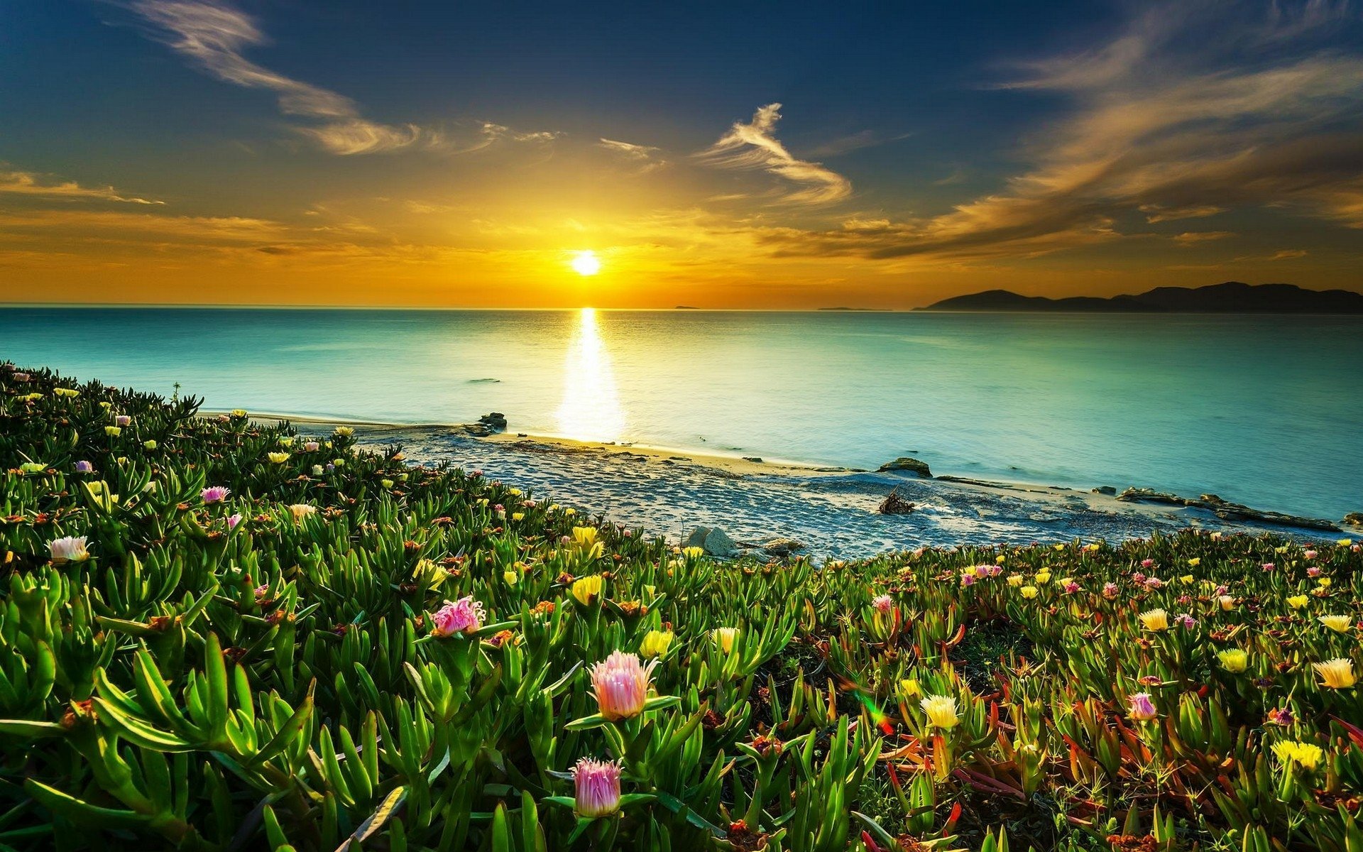 1920x1200 Download Sun Horizon Ocean Flower Nature Coastline HD Wallpaper