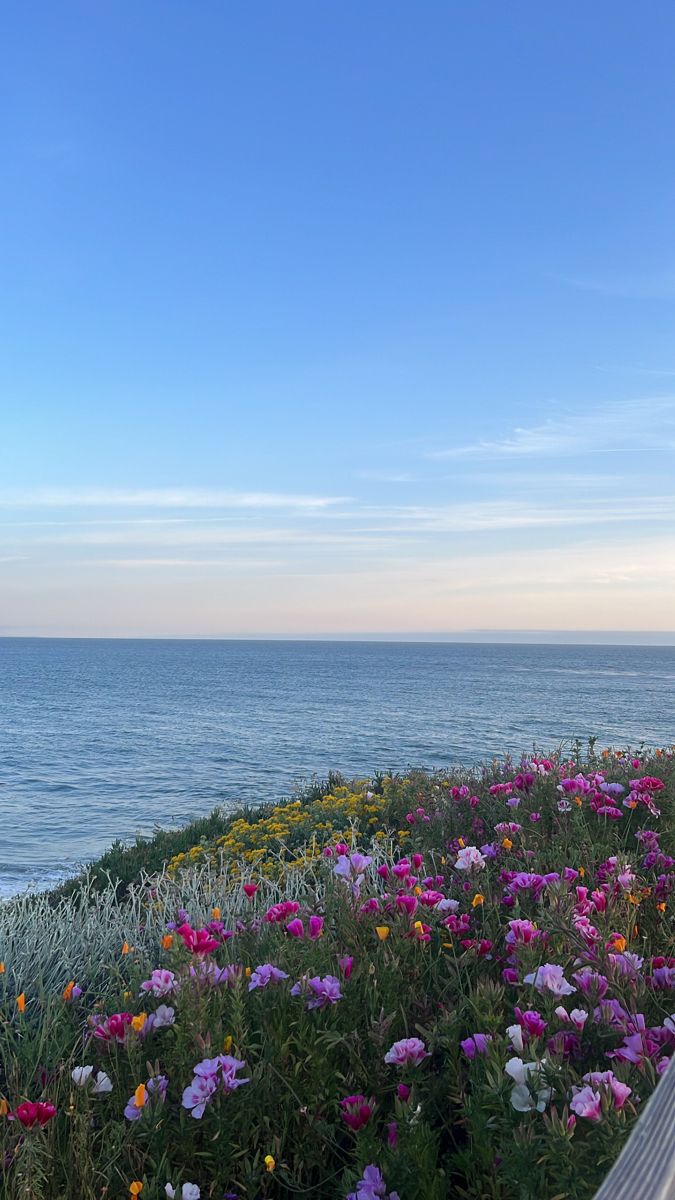 675x1200 Beach flowers. pink flowers. flowers at beach. wild flowers beach. coastal aesthetic. Califor. Ilustración de paisaje, Hermosos paisajes, Paisaje de fantasía