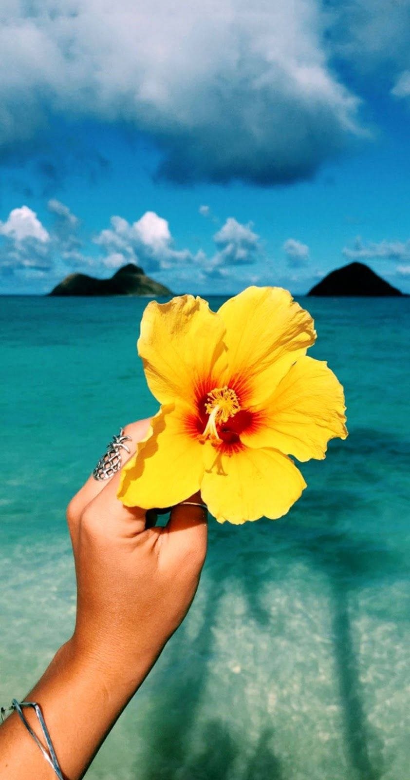 842x1600 Download Aesthetic Beach Yellow Flower Wallpaper