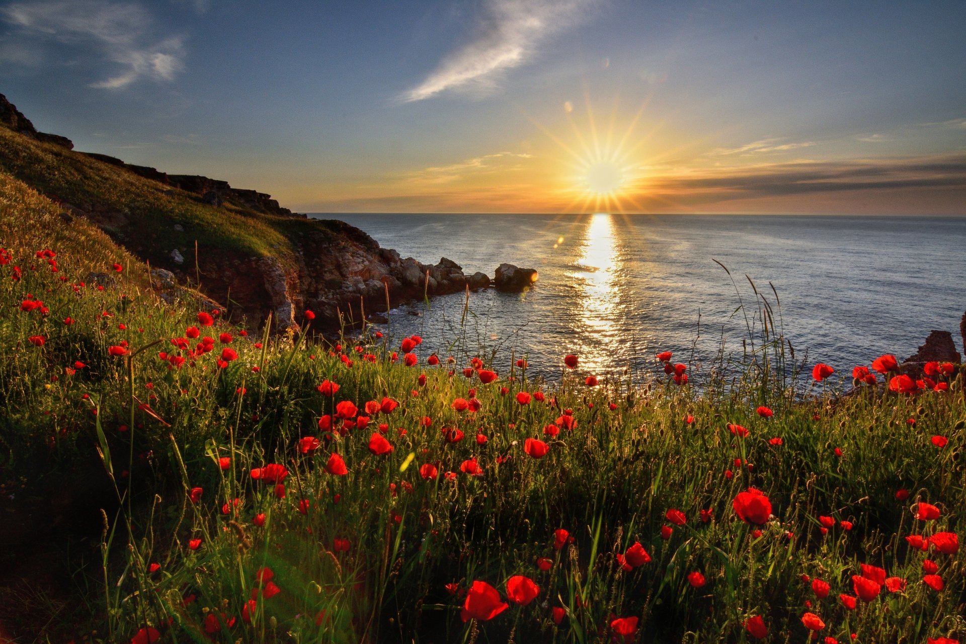 1920x1280 Download Coastline Red Flower Poppy Horizon Nature Ocean Sunrise 4k Ultra HD Wallpaper