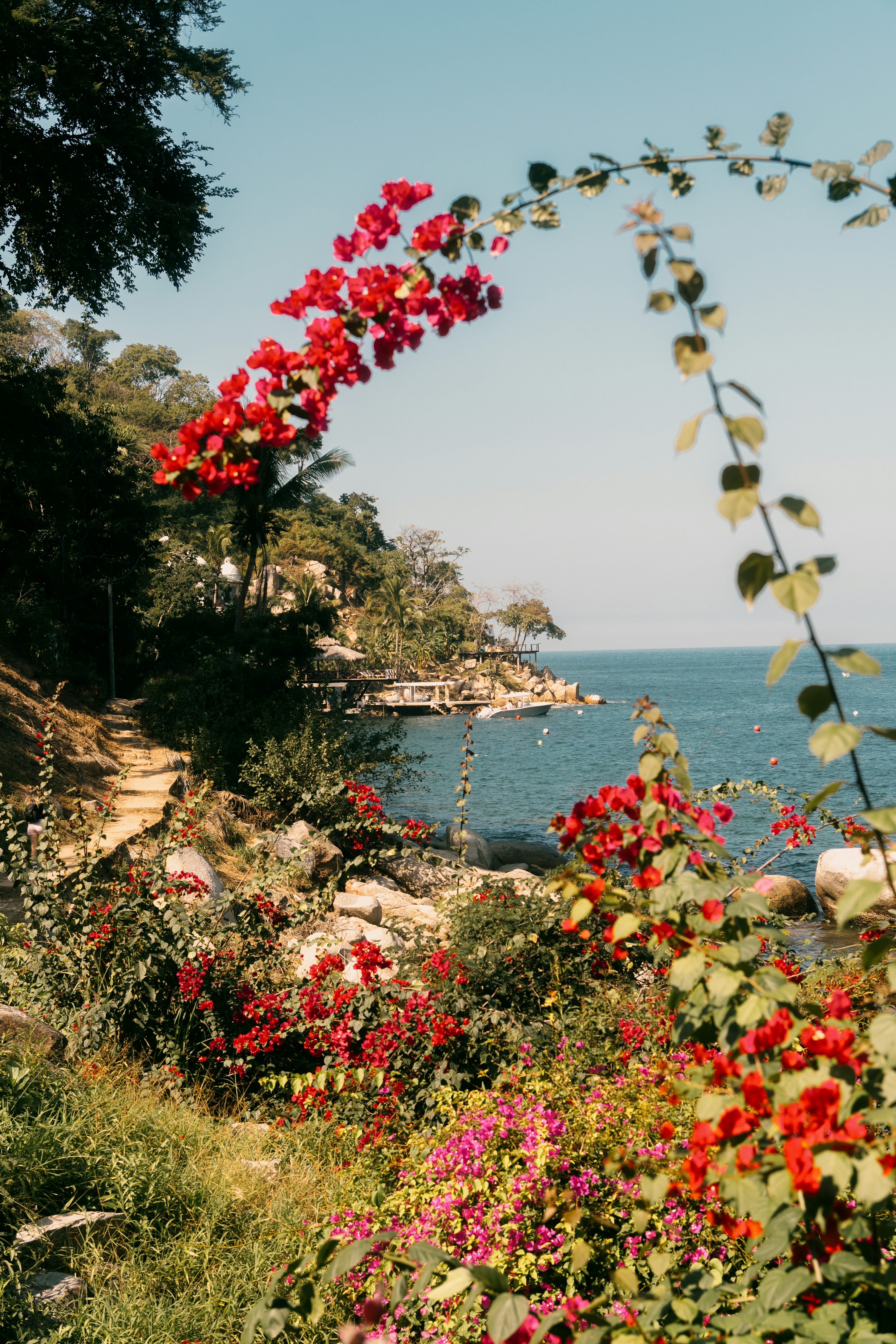 3000x4500 Tropical flowers overlook a calm blue ocean bay. photo