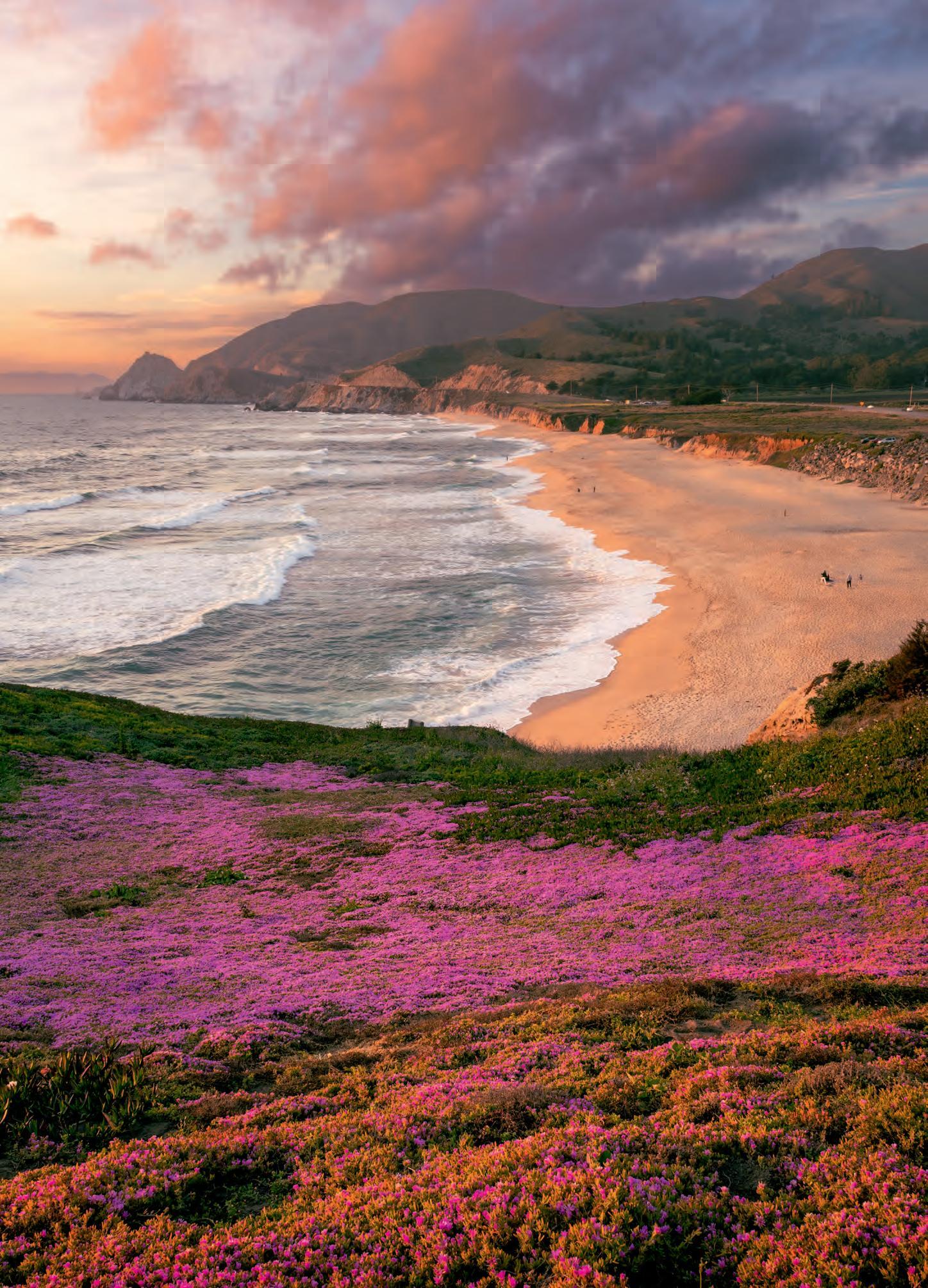 1448x2009 Beach With Pink Flowers Clouds Folsom City California State United States USA