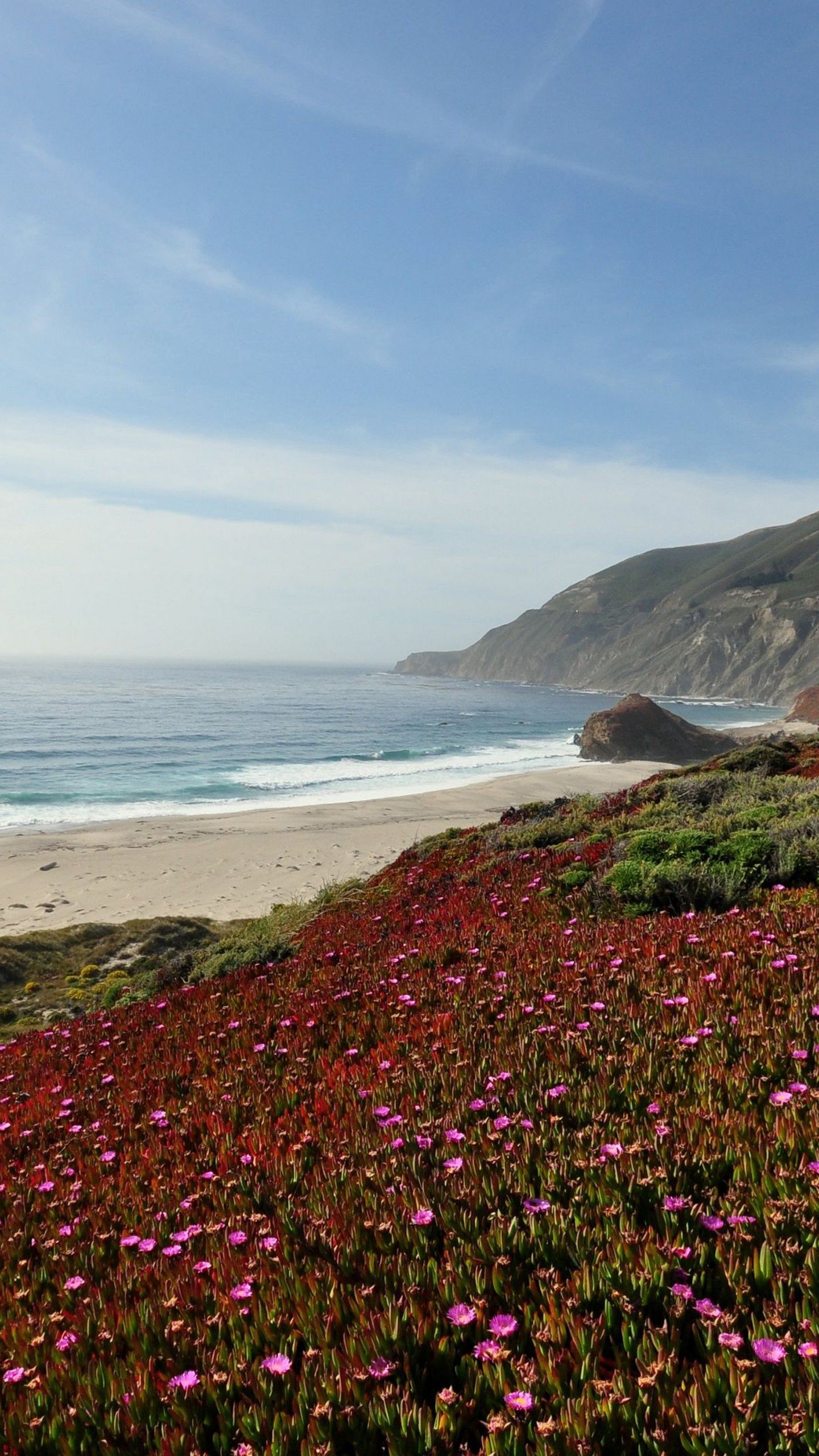 1440x2560 Ocean Waves Beach Sand Sea Coast Mountains Pink Flowers Under Blue Sky 4K HD Nature Wallpaper