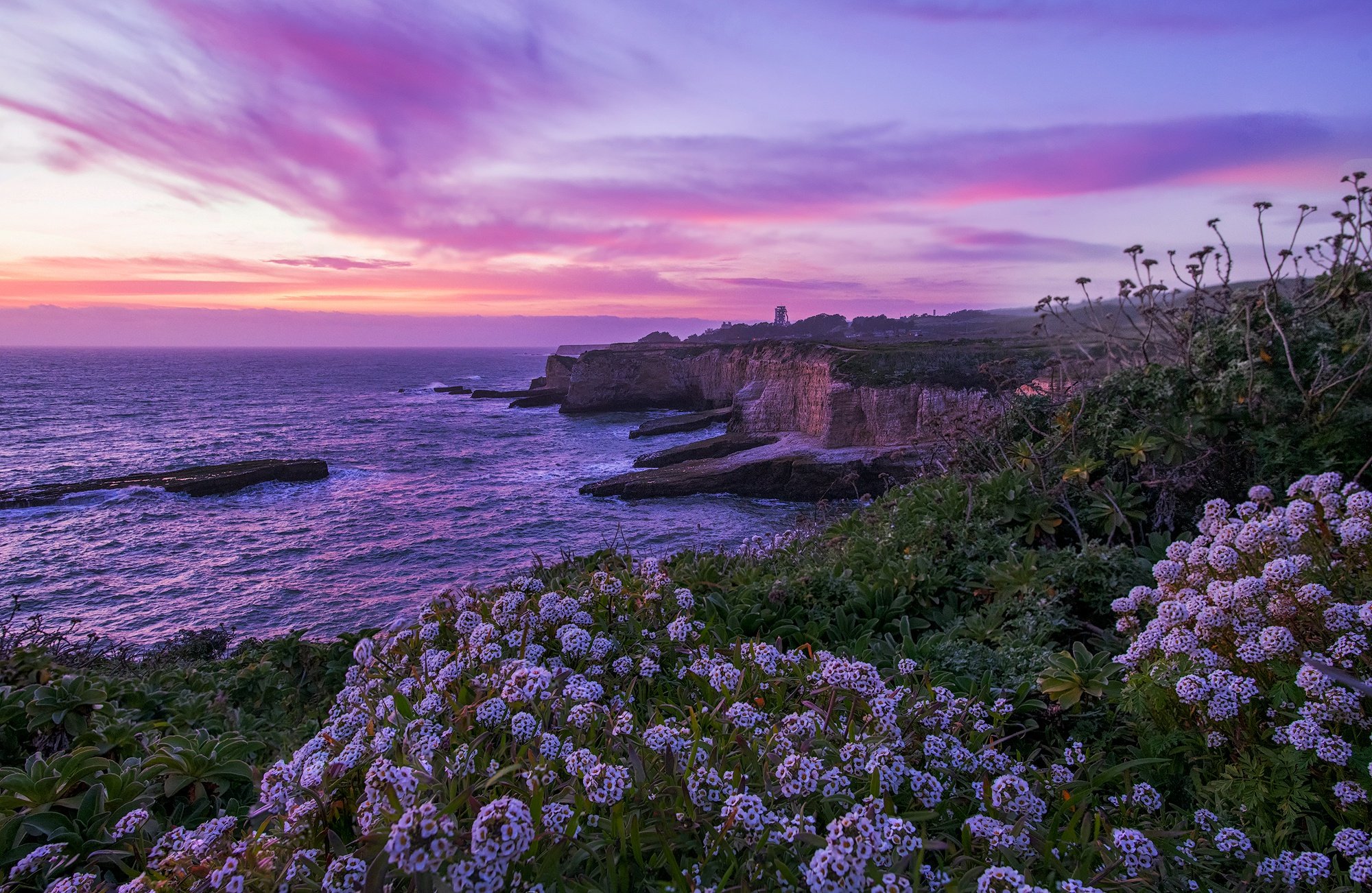 2000x1302 Download California Ocean Flower Sunset Nature Coastline HD Wallpaper