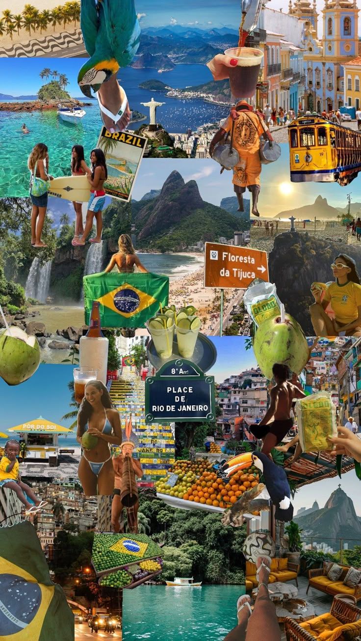 736x1308 brazil core