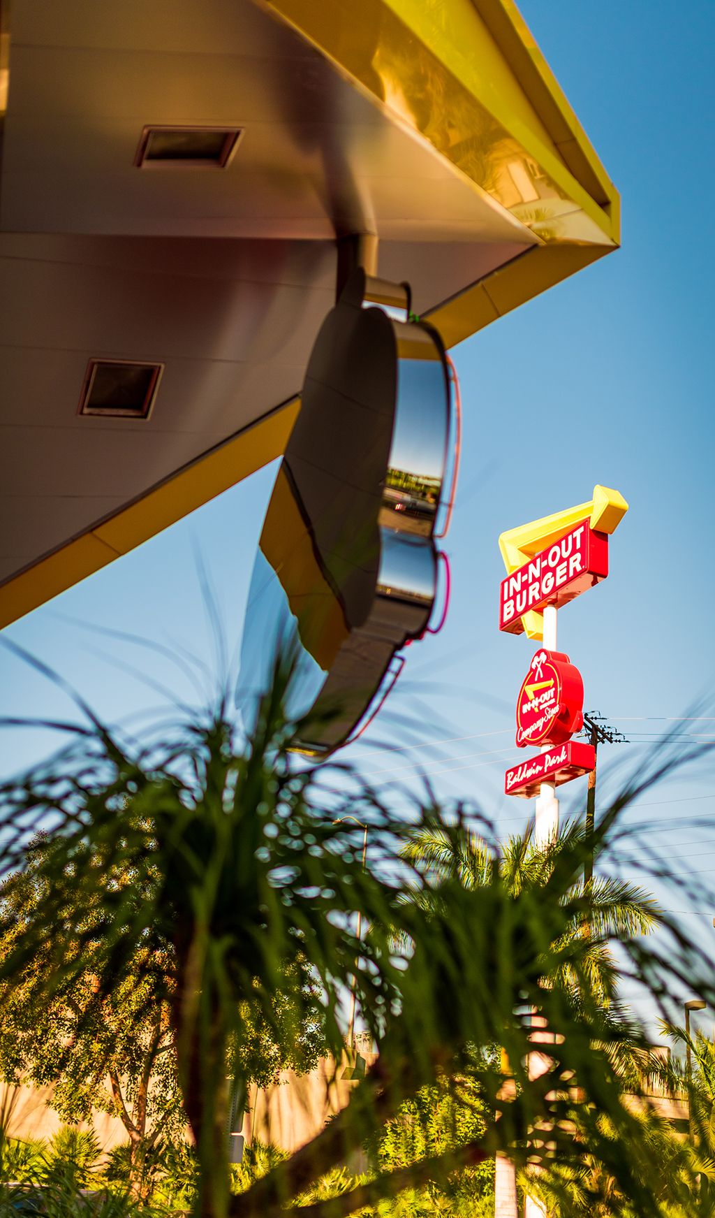 1024x1743 The Consummate Carnivore's Guide To In N Out Burger