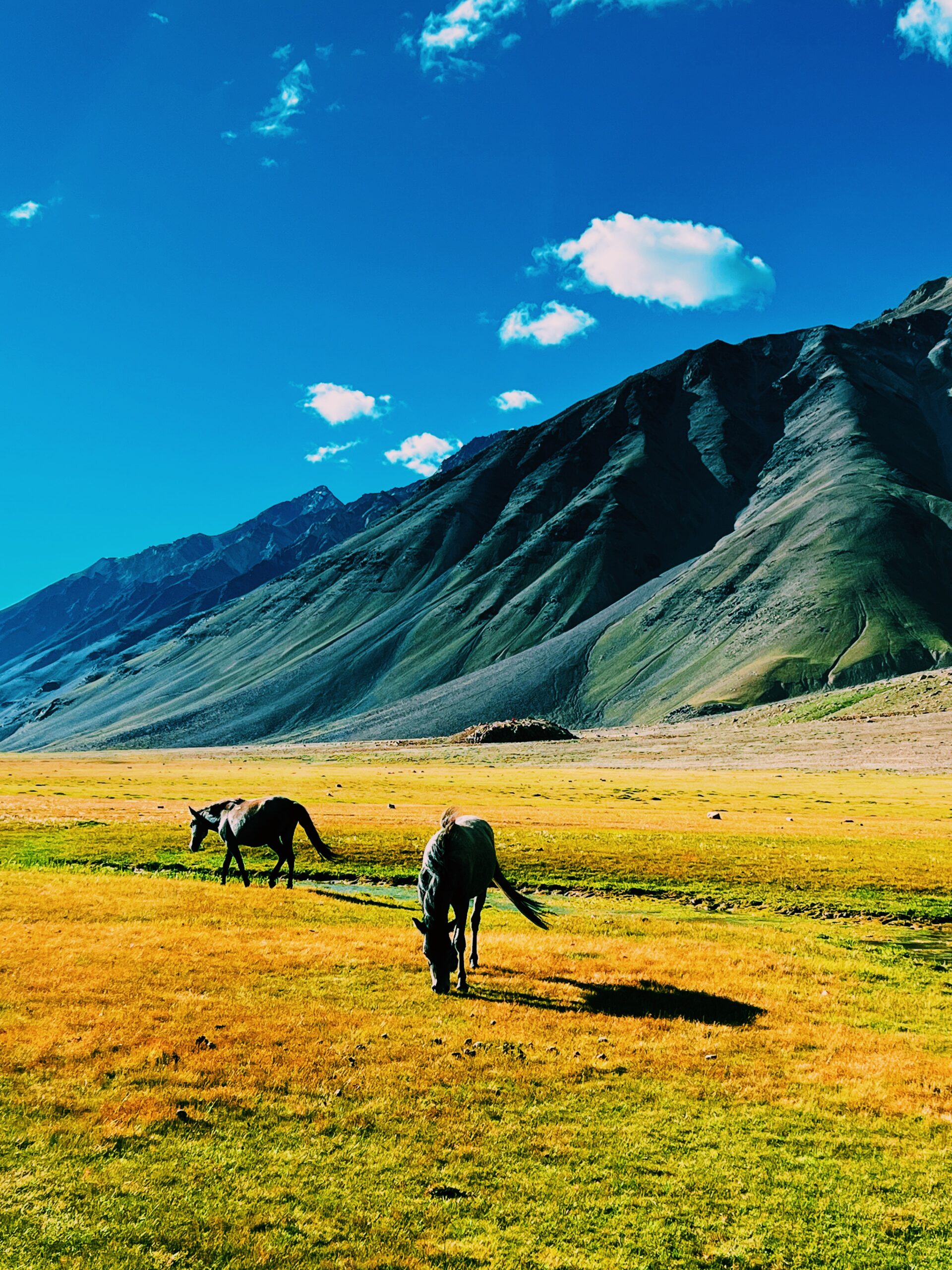 1920x2560 Incredible Landscapes of Lake Chandratal: A Photo Gallery