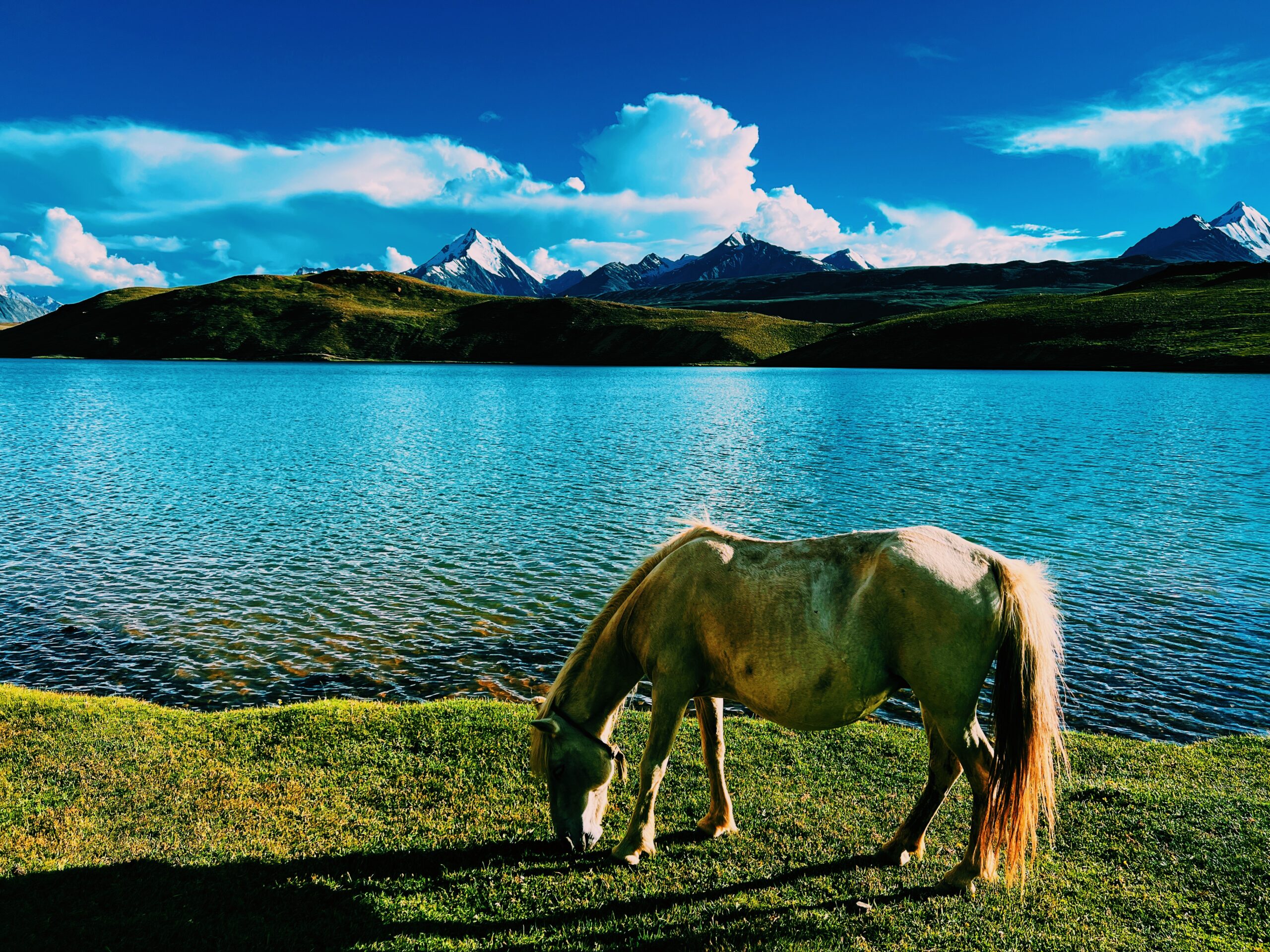 2560x1920 Incredible Landscapes of Lake Chandratal: A Photo Gallery