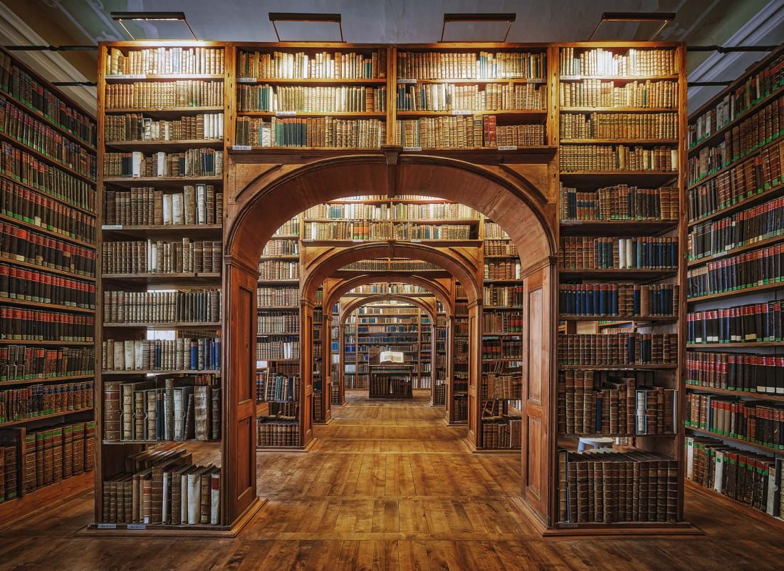 1101x801 Vintage Library