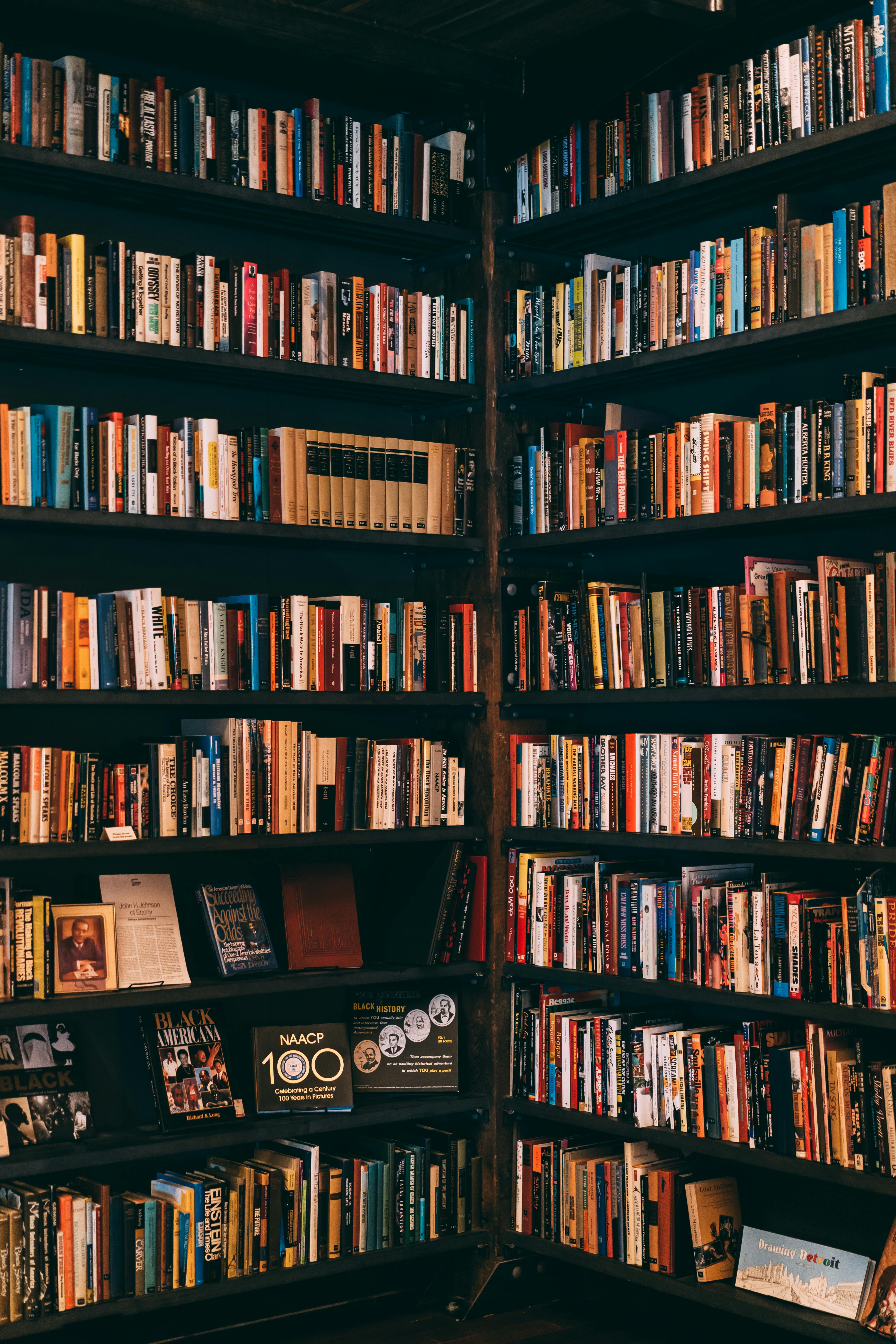 4000x6000 Best Library Photo · 100% Free Downloads
