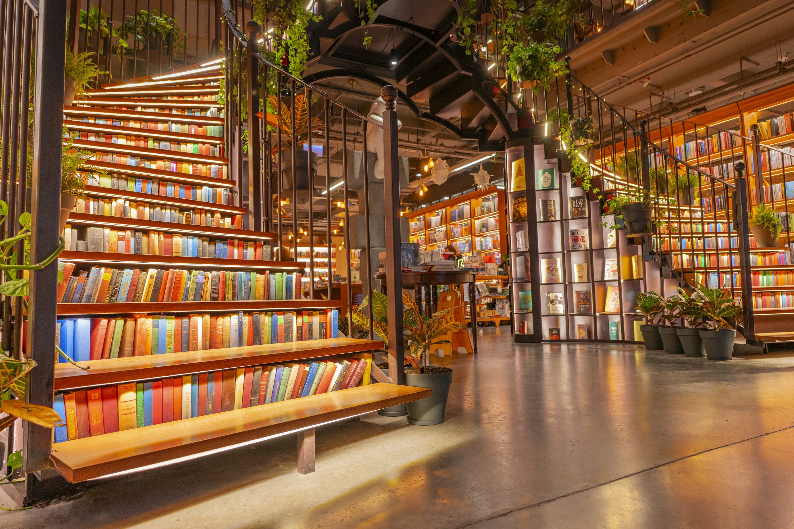 3000x2000 Cozy Library Picture. Download Free Image