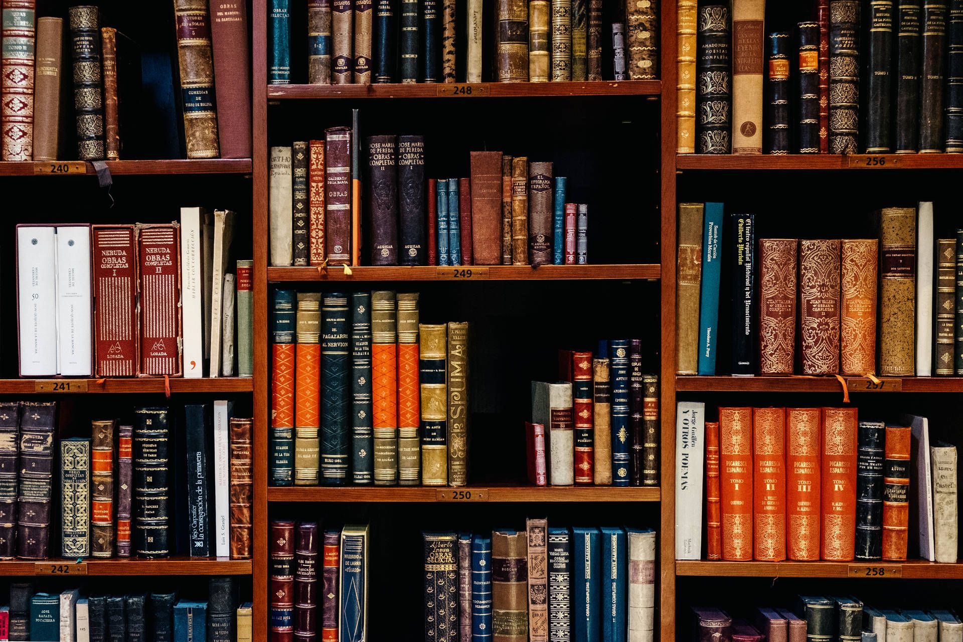 1920x1280 Book Aesthetic Wallpaper