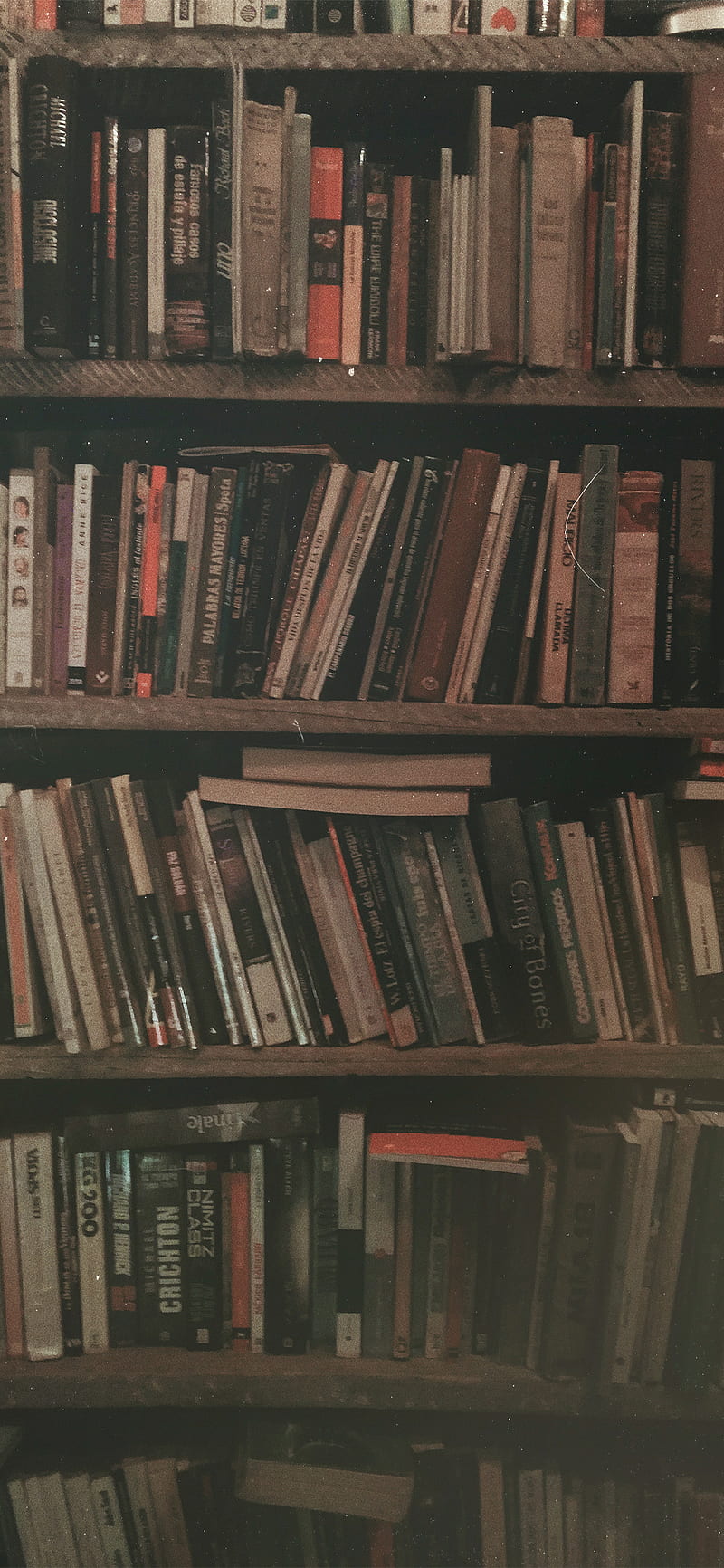 800x1732 Library Aesthetic, HD phone wallpaper