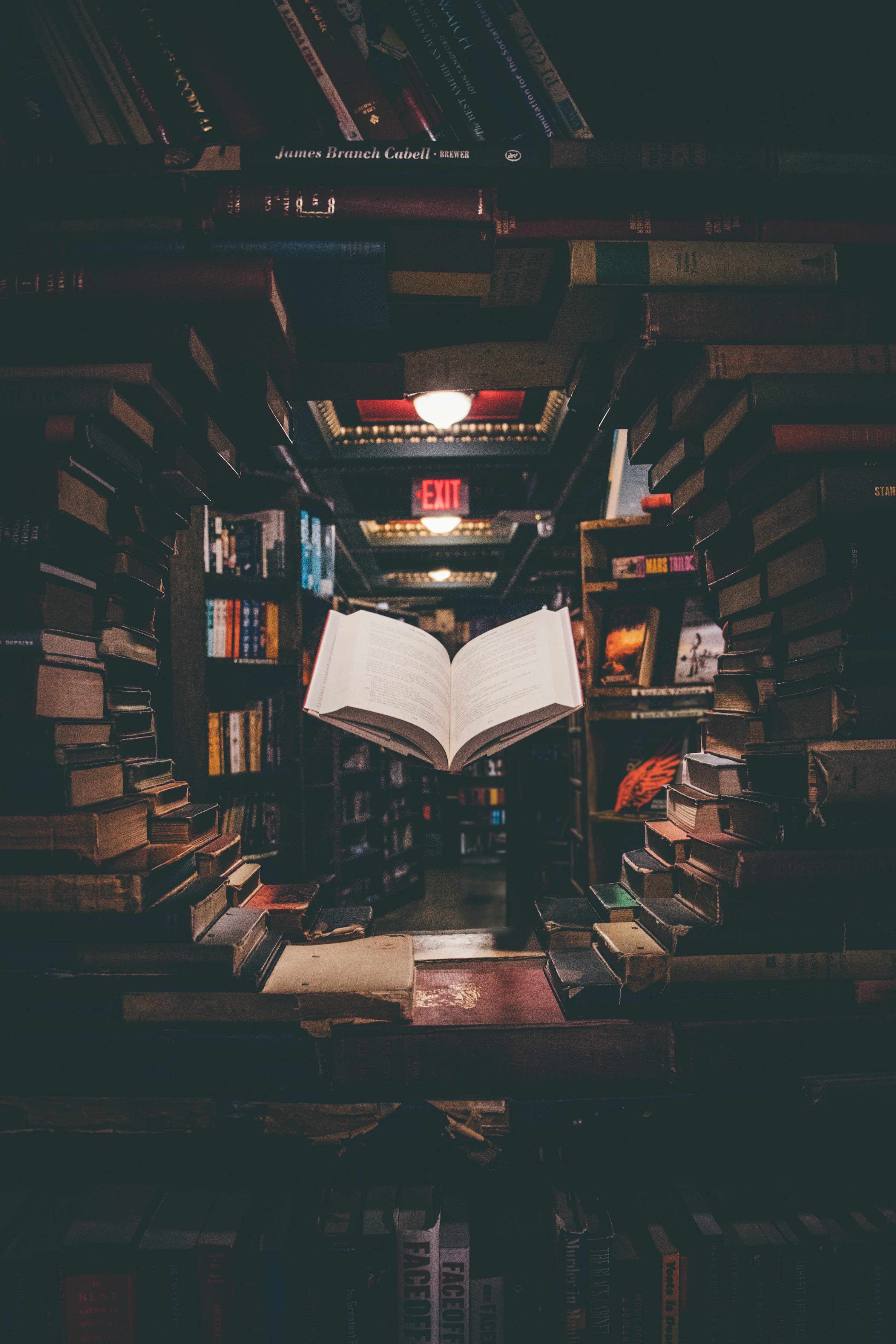 3000x4500 Free Image Library. Download Free Picture